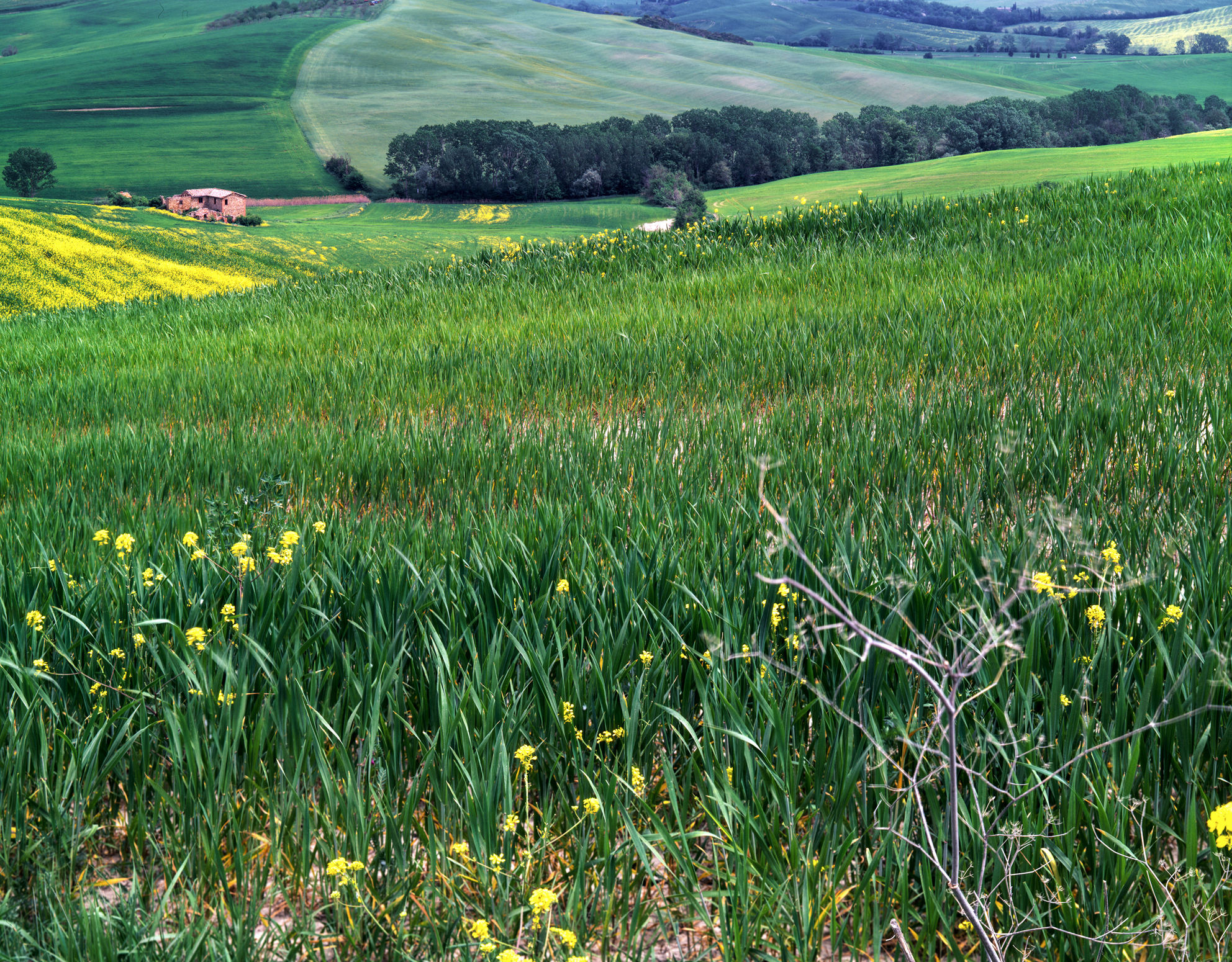 Val D'Orcia