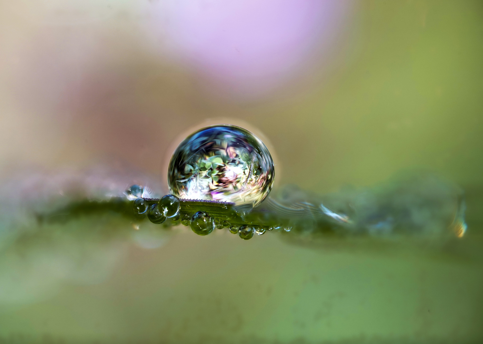 Agitato, non mescolato.