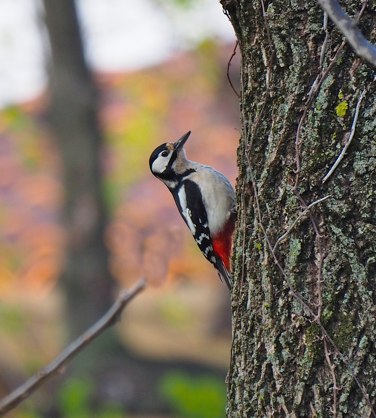 Incontri inaspettati