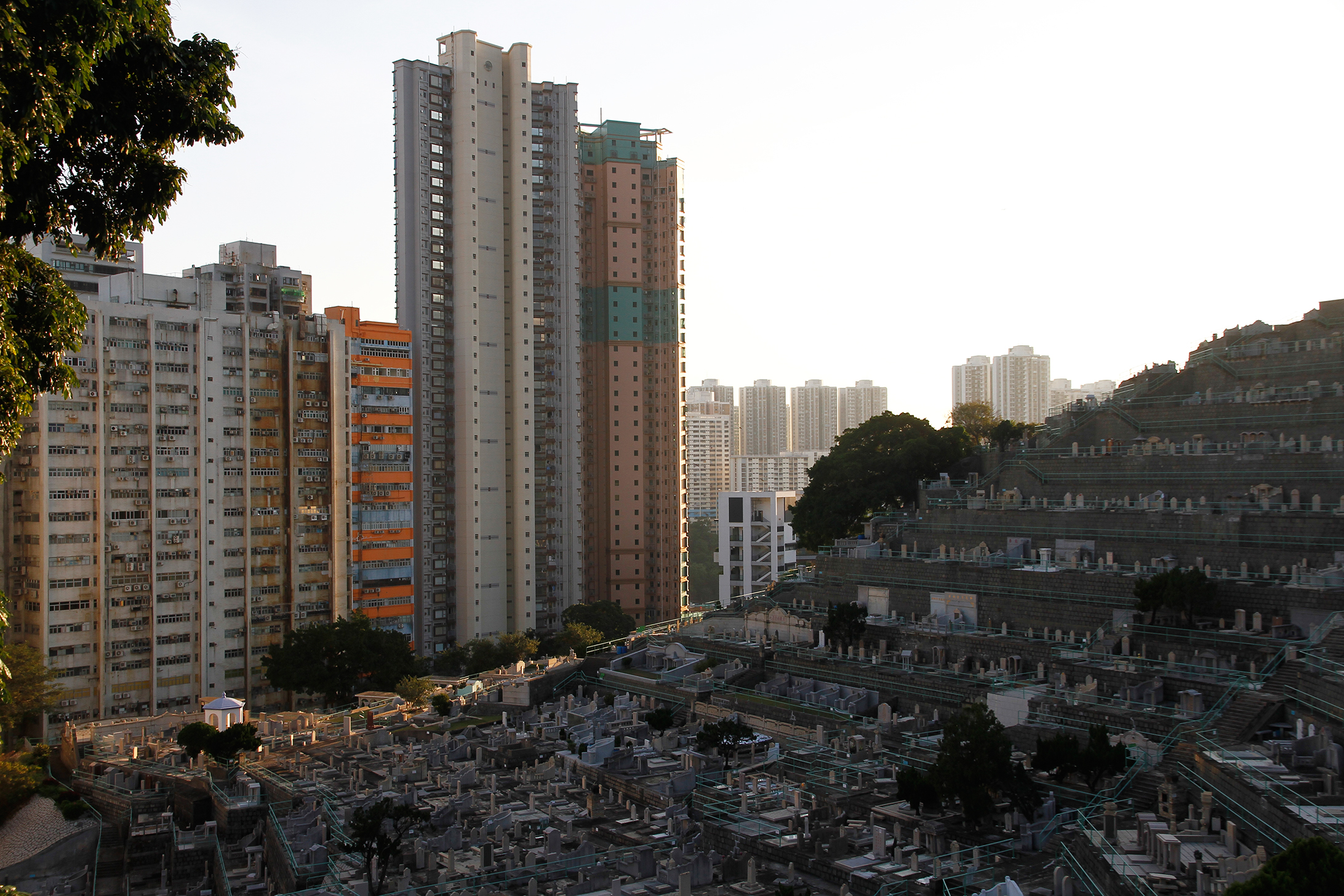 lights and shadows of life