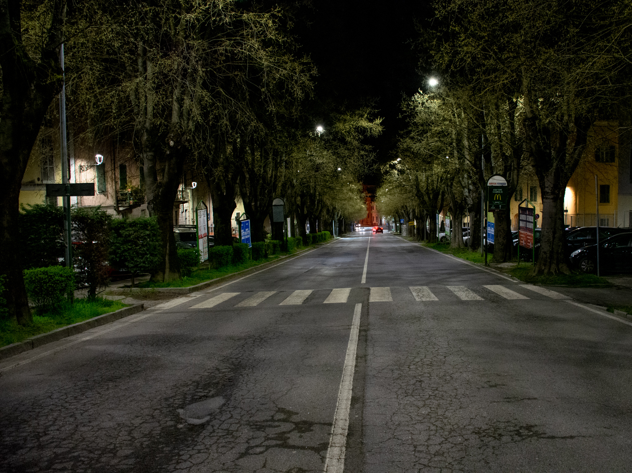 In the road... by night