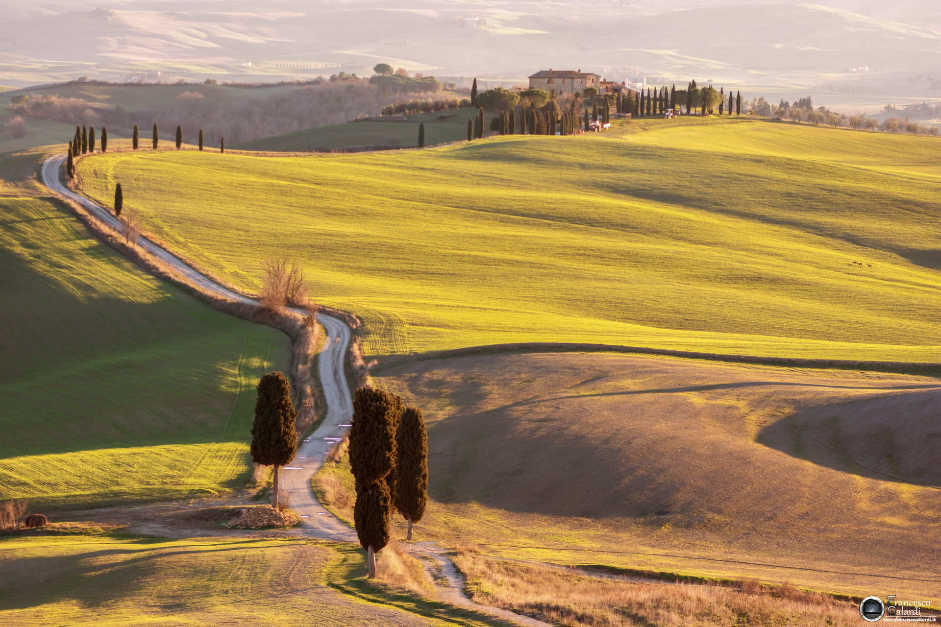 Cipressi del Gladiatore al tramonto