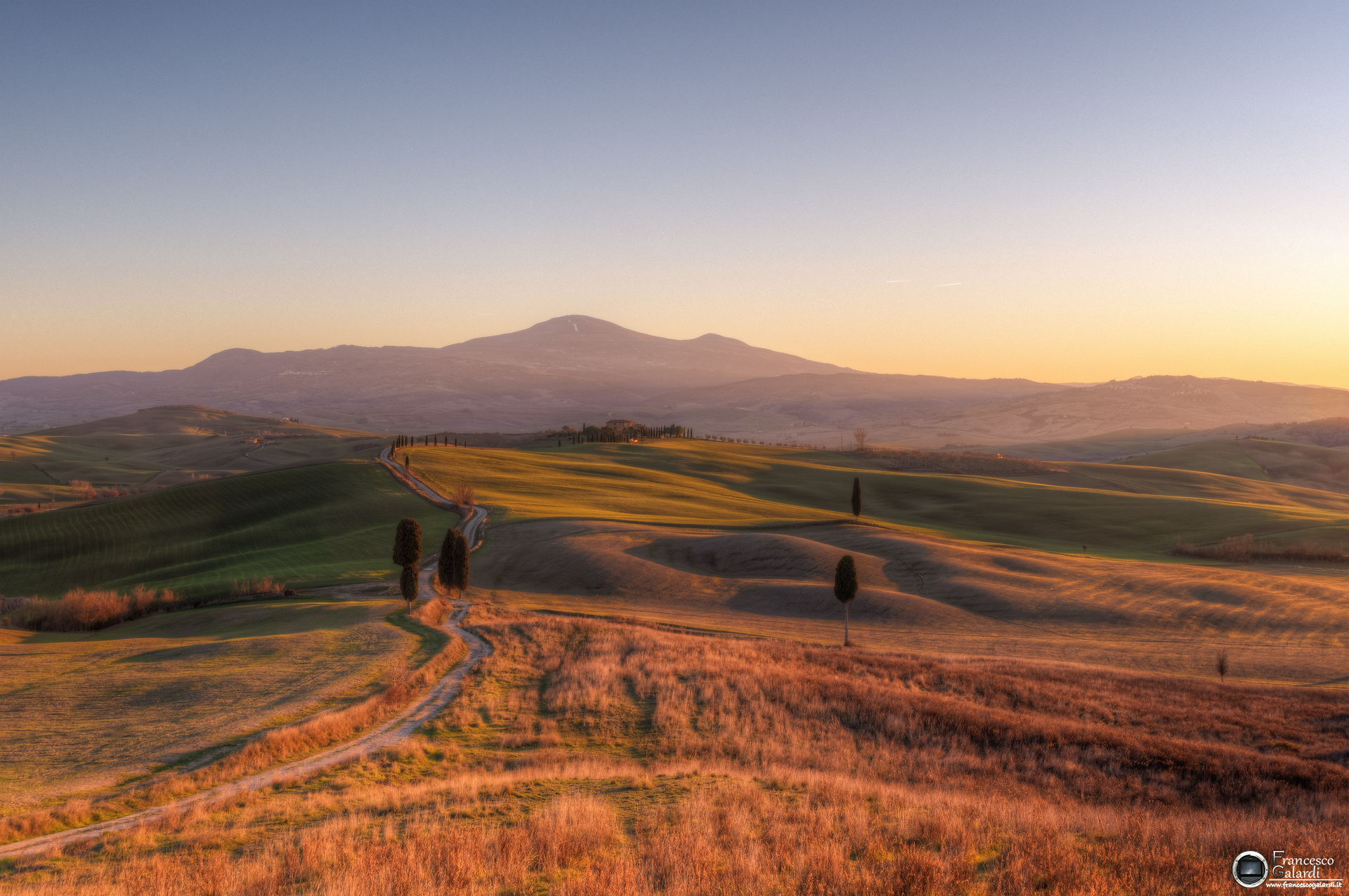 Cipressi del Gladiatore e Monte Amiata sullo sfondo