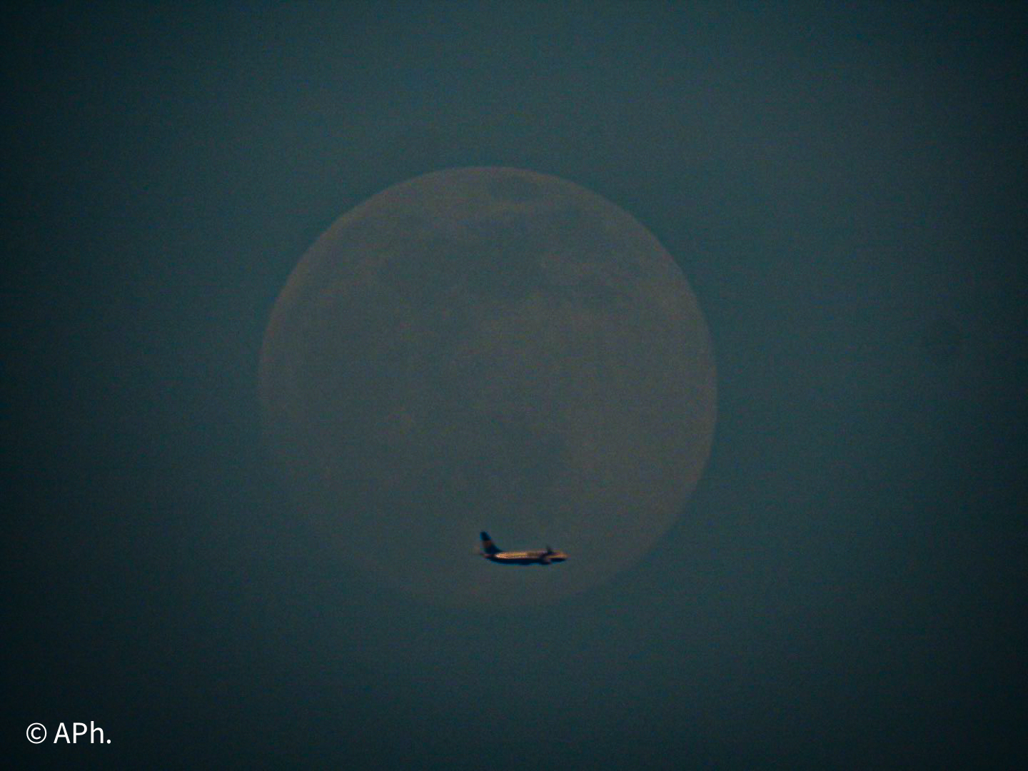 Regalo di Pasqua 2022