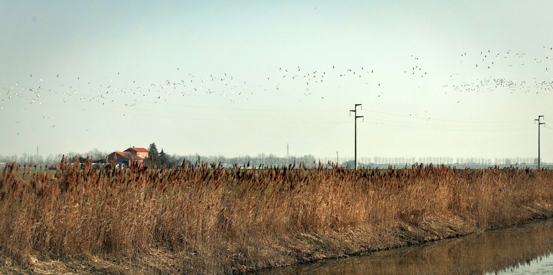 reclamation and its different aspects