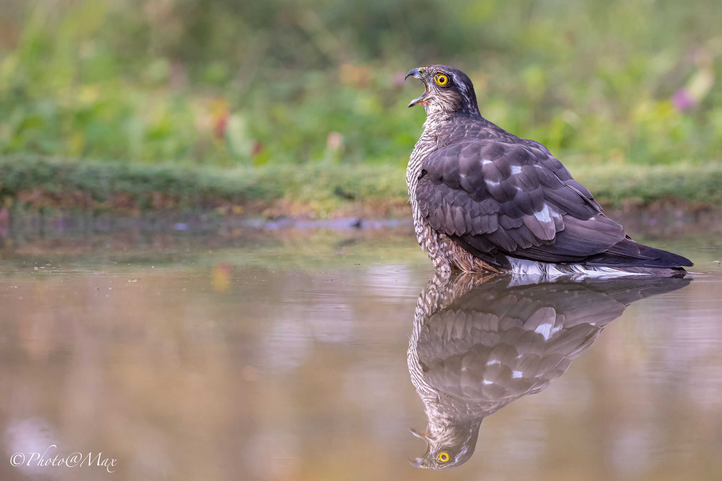 Happy Easteraaaaa !!!