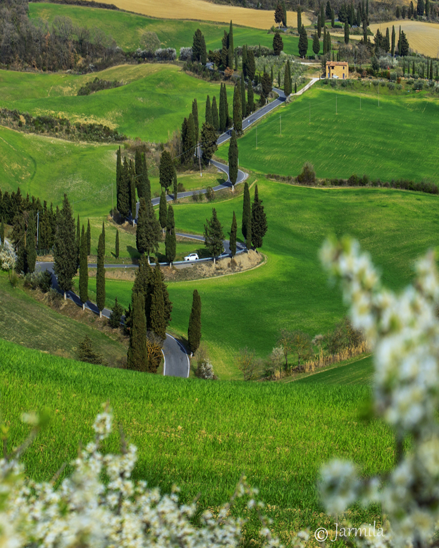 Spring in Monticchiello Val d'Orcia in Zig Zag