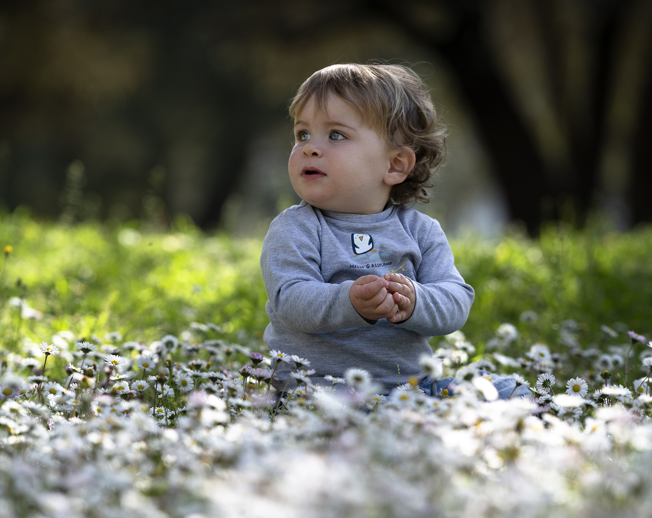Among the daisies