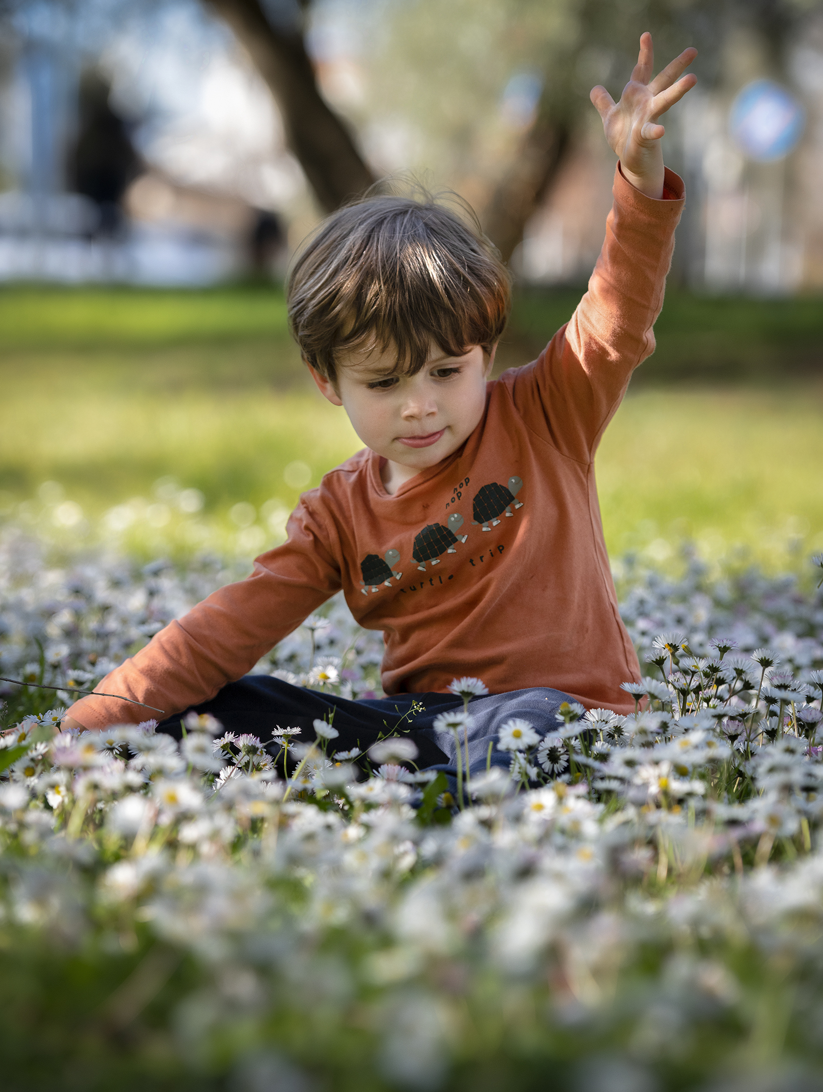Among the daisies