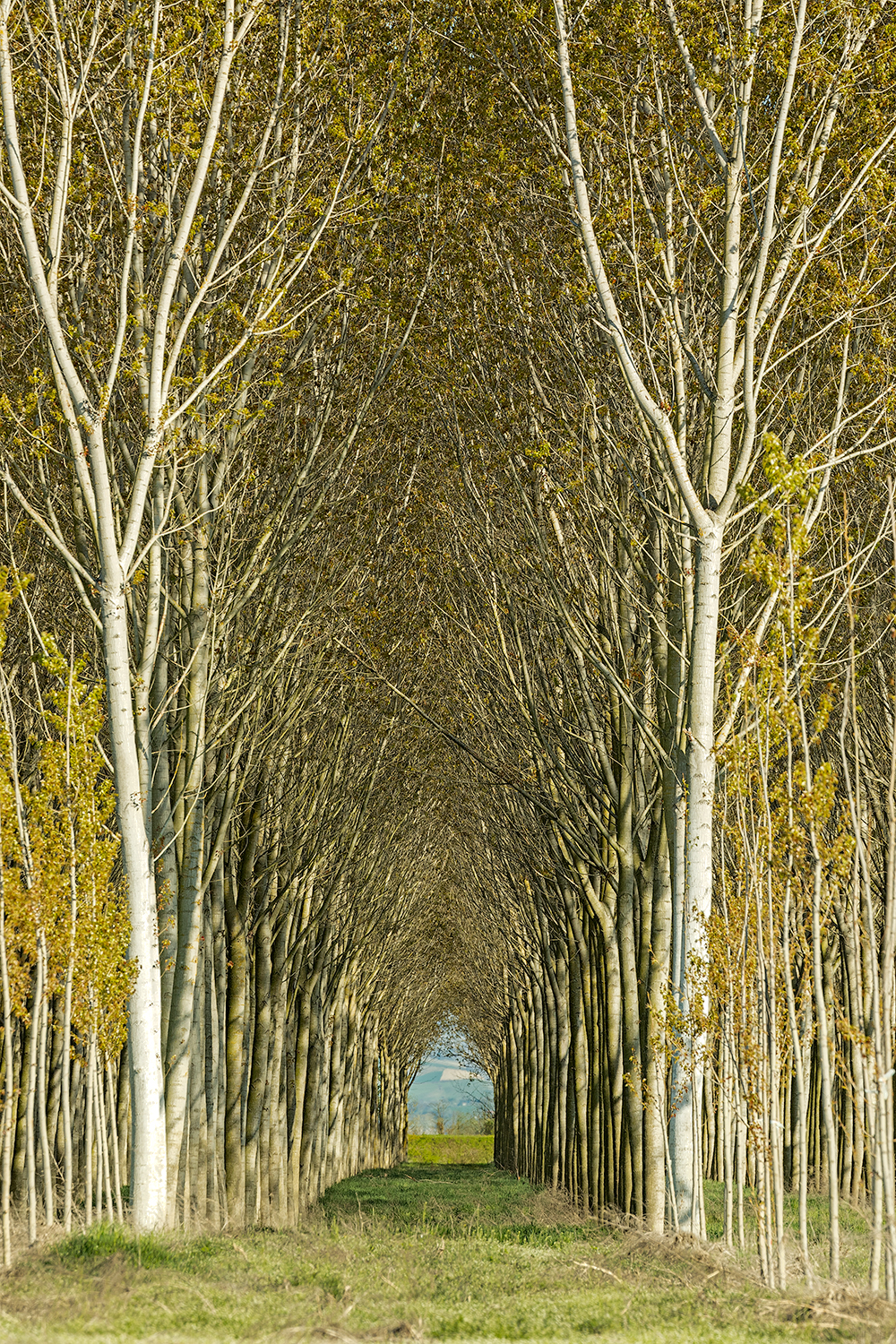 the light at the end of the tunnel