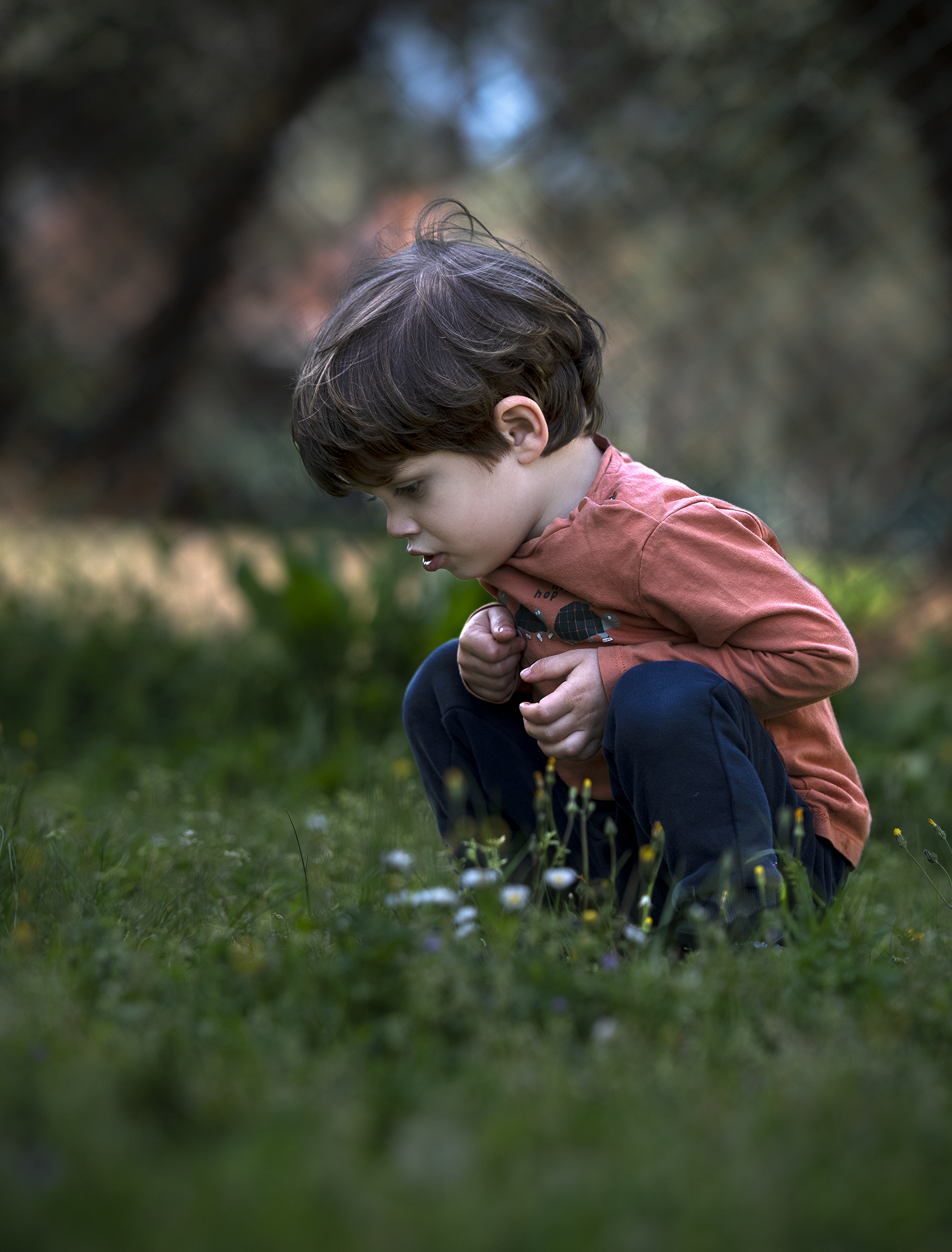 Looking at the ants