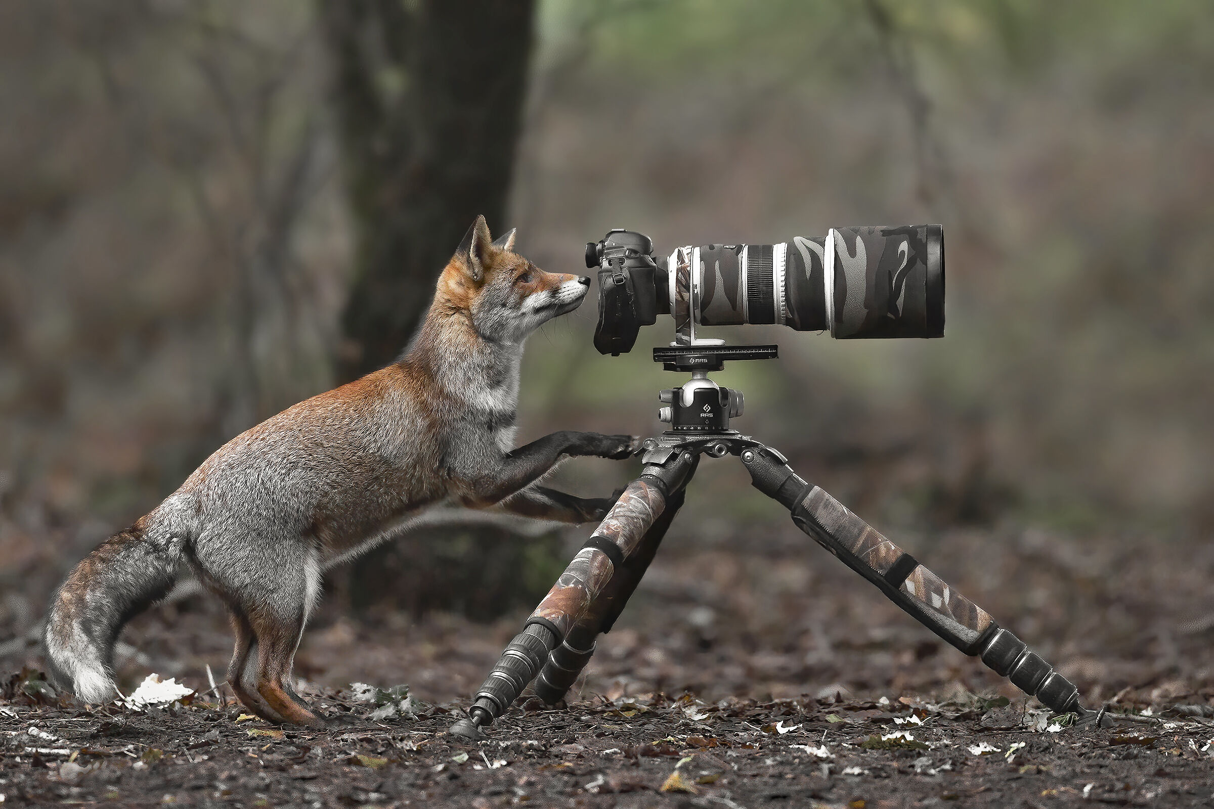 Photographer ...