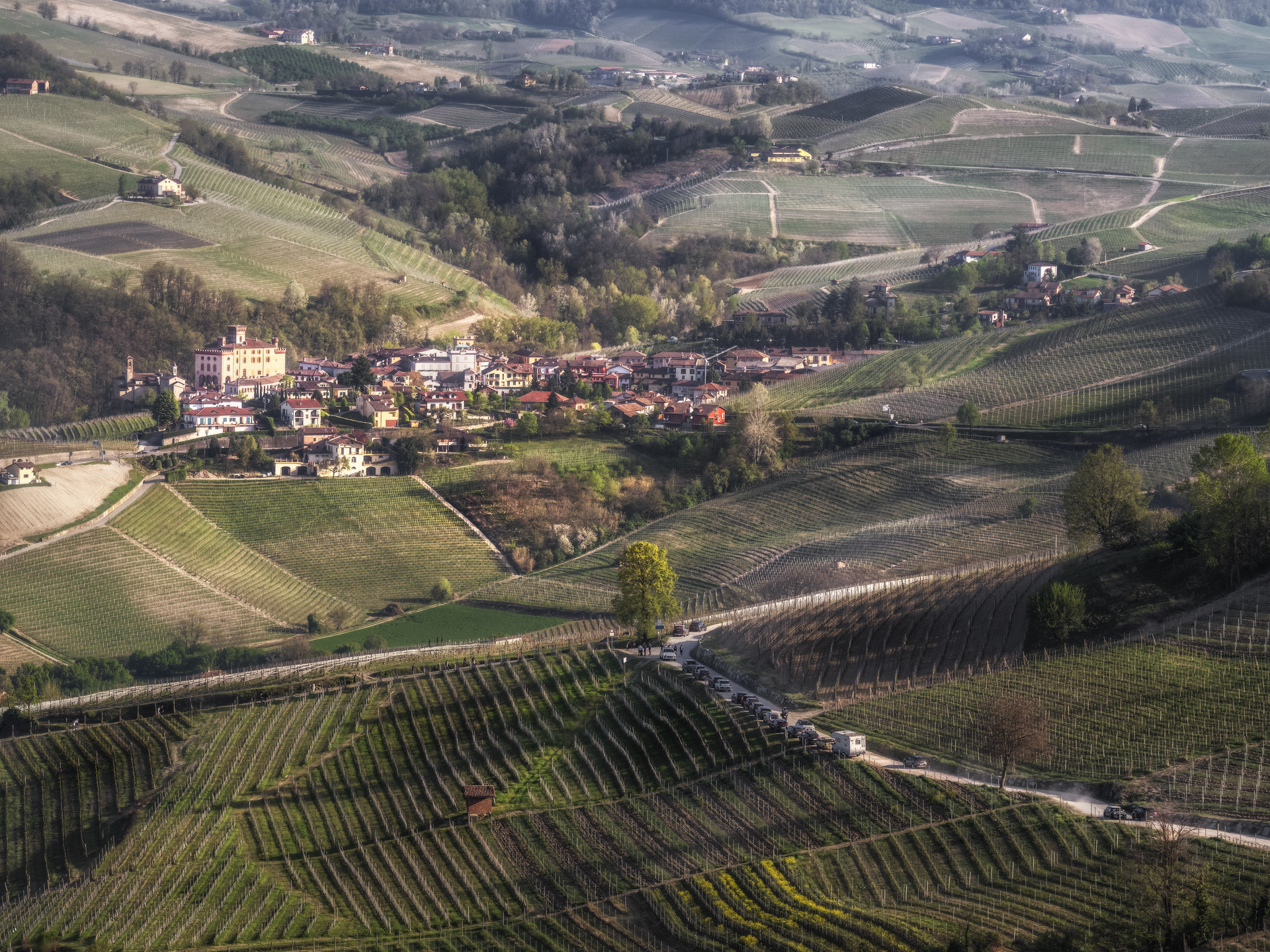 Barolo