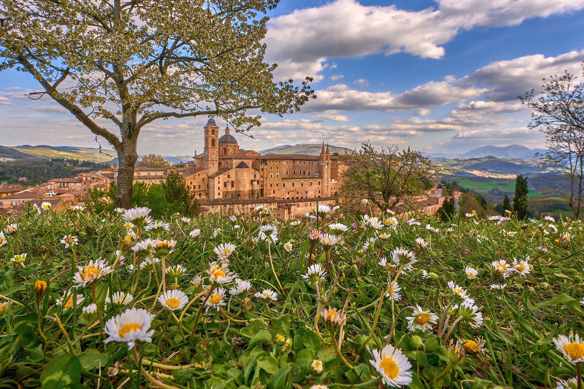 Views from Urbino