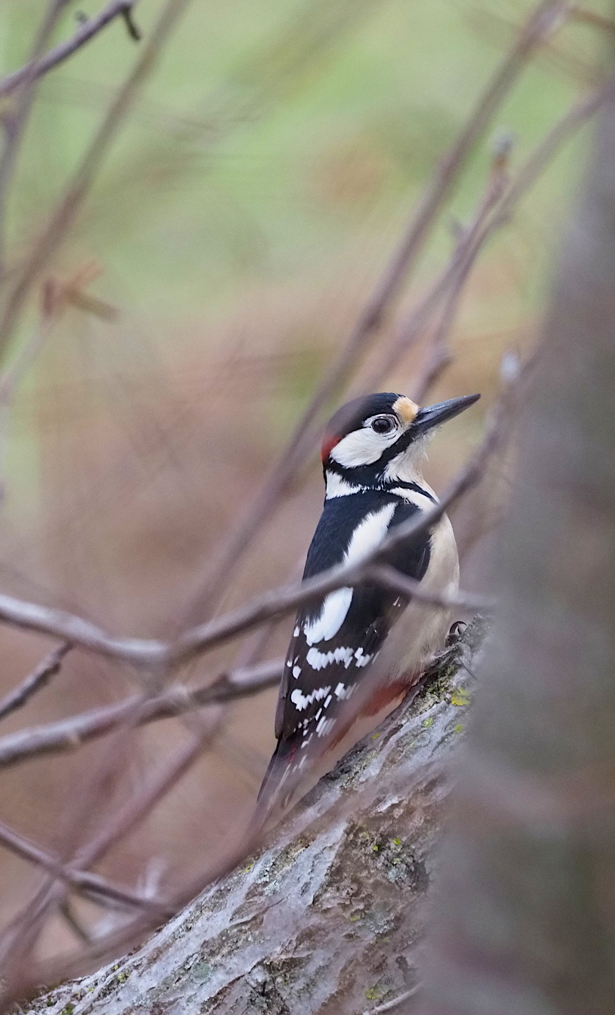Look, I keep an eye on you eh!!