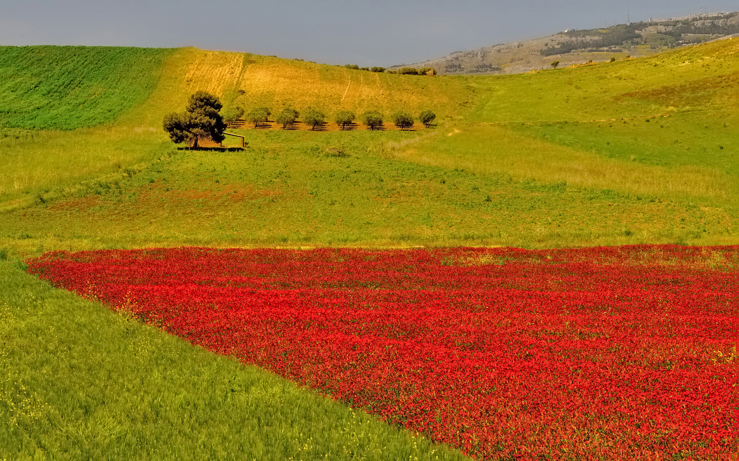 Scorci di Sicilia