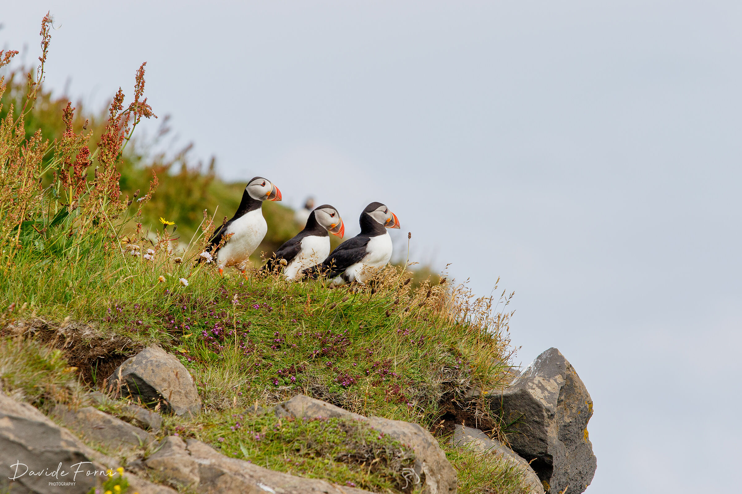 Let's all put ourselves in profile for the photographer.... ...