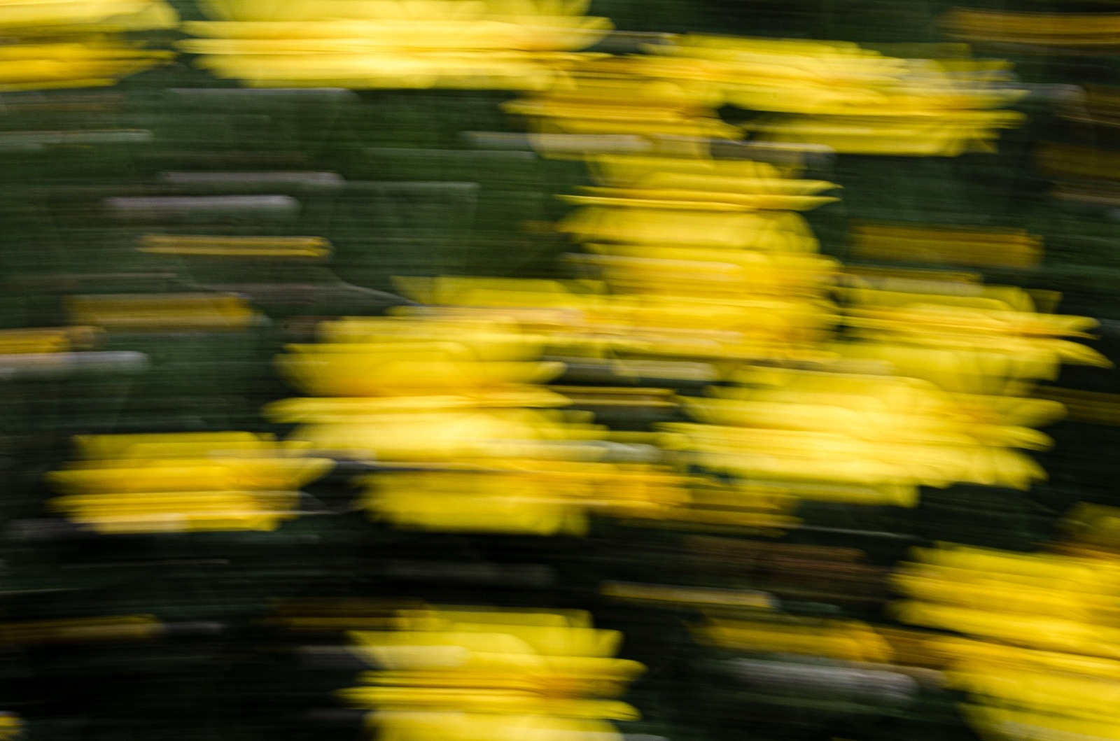 Mosso di primavera