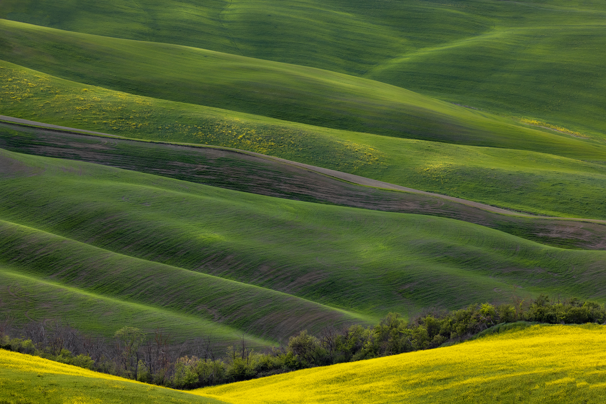 Crete Senesi