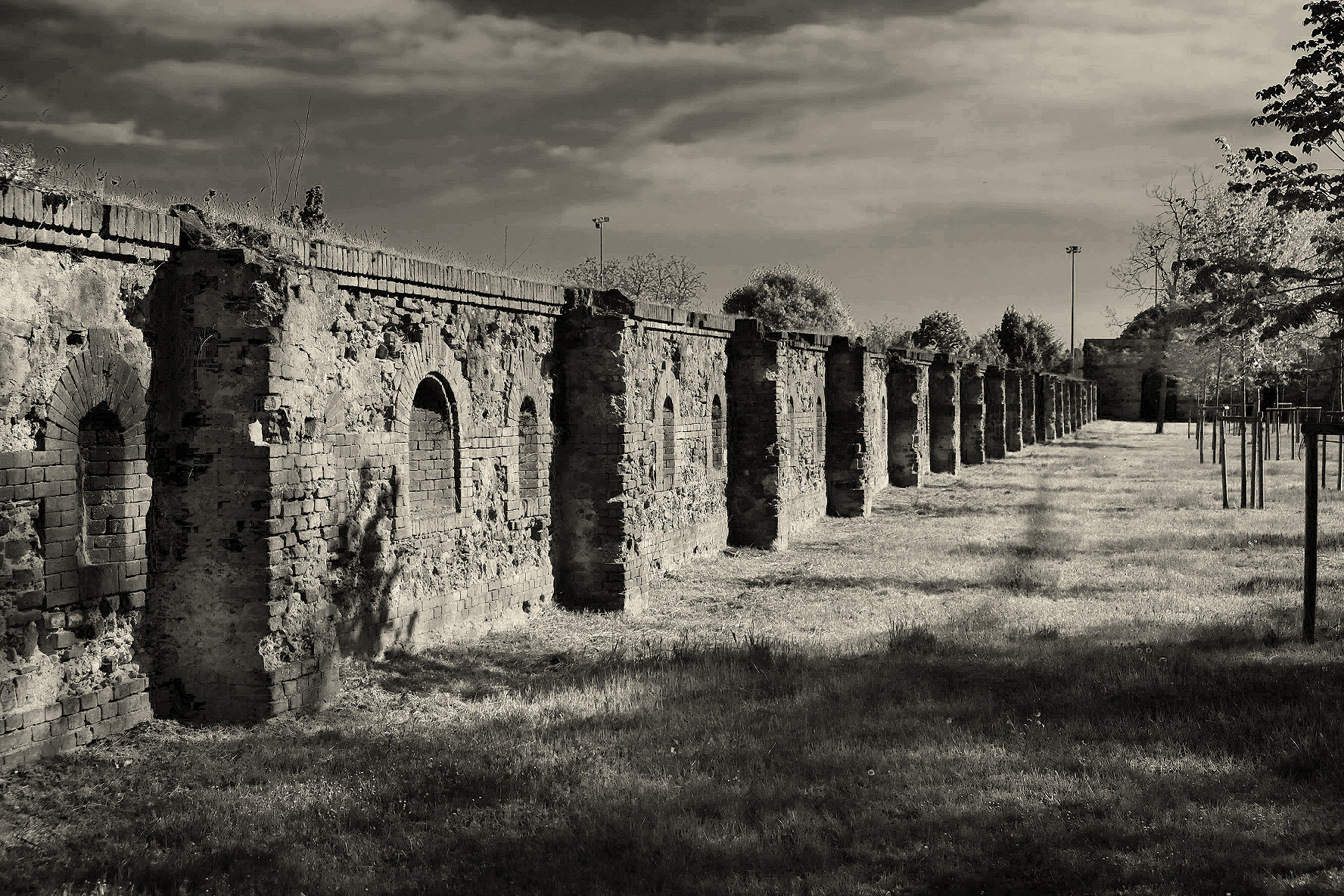 cittadella (casale monf.)