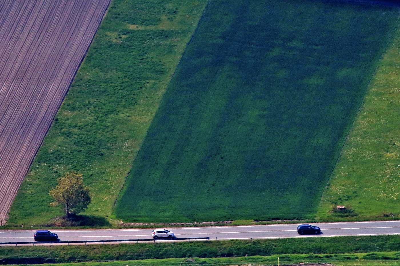 Campagna Piemontese