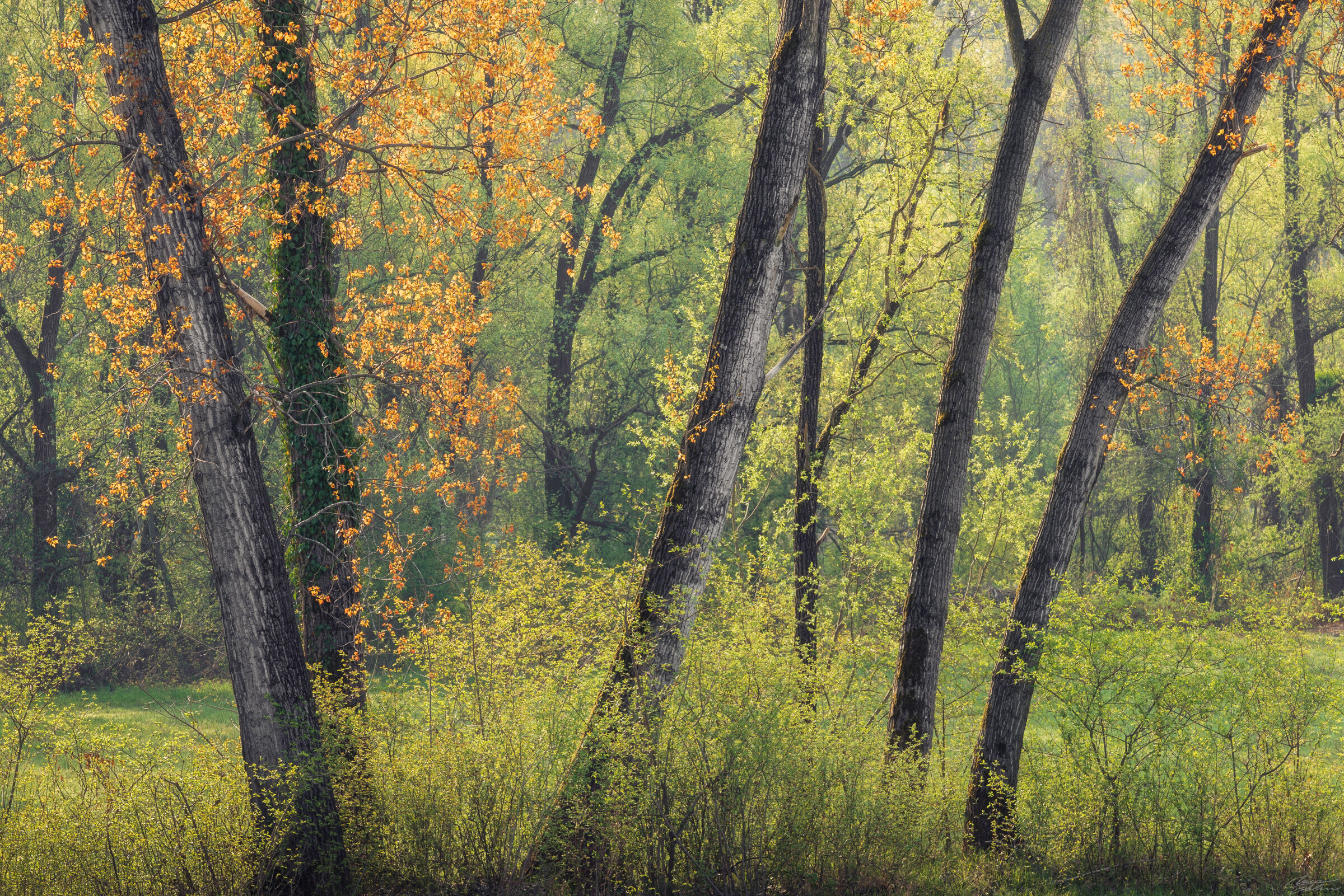 Let the colors explode