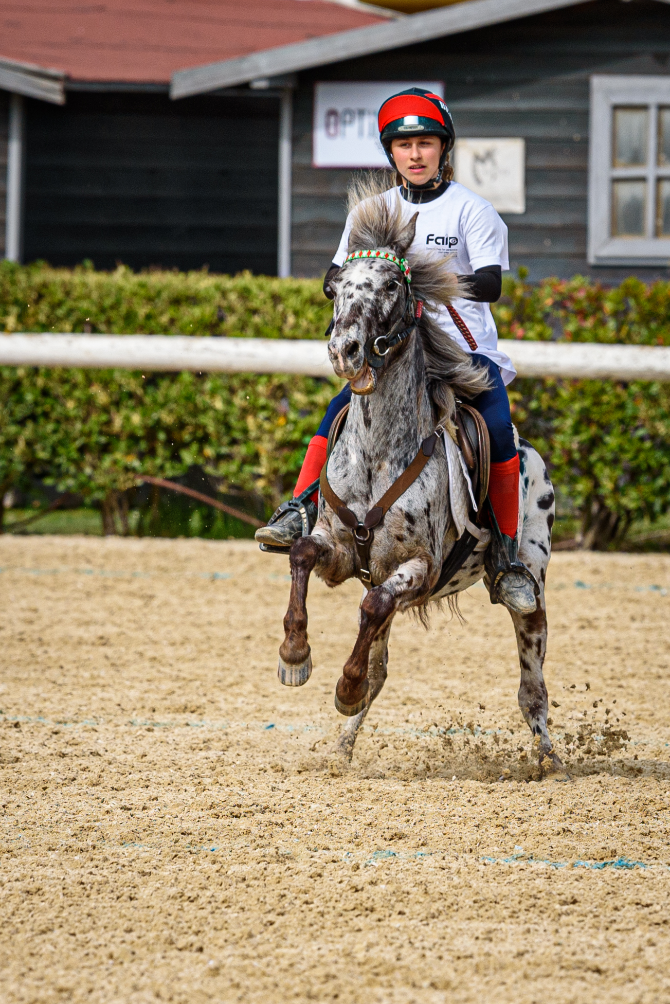 Mounted Game Equestrian Centre