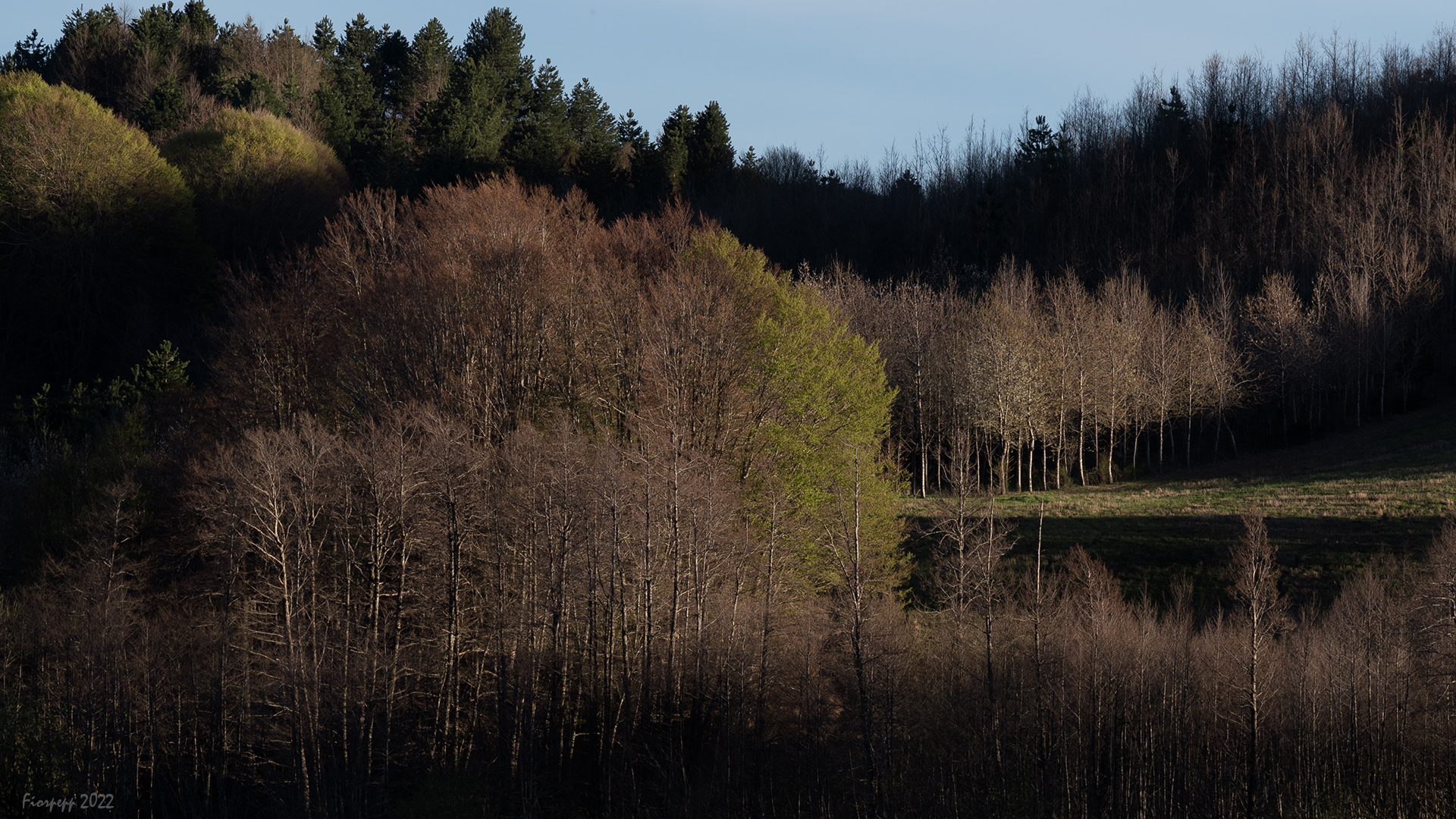 Parco nazionale della Sila