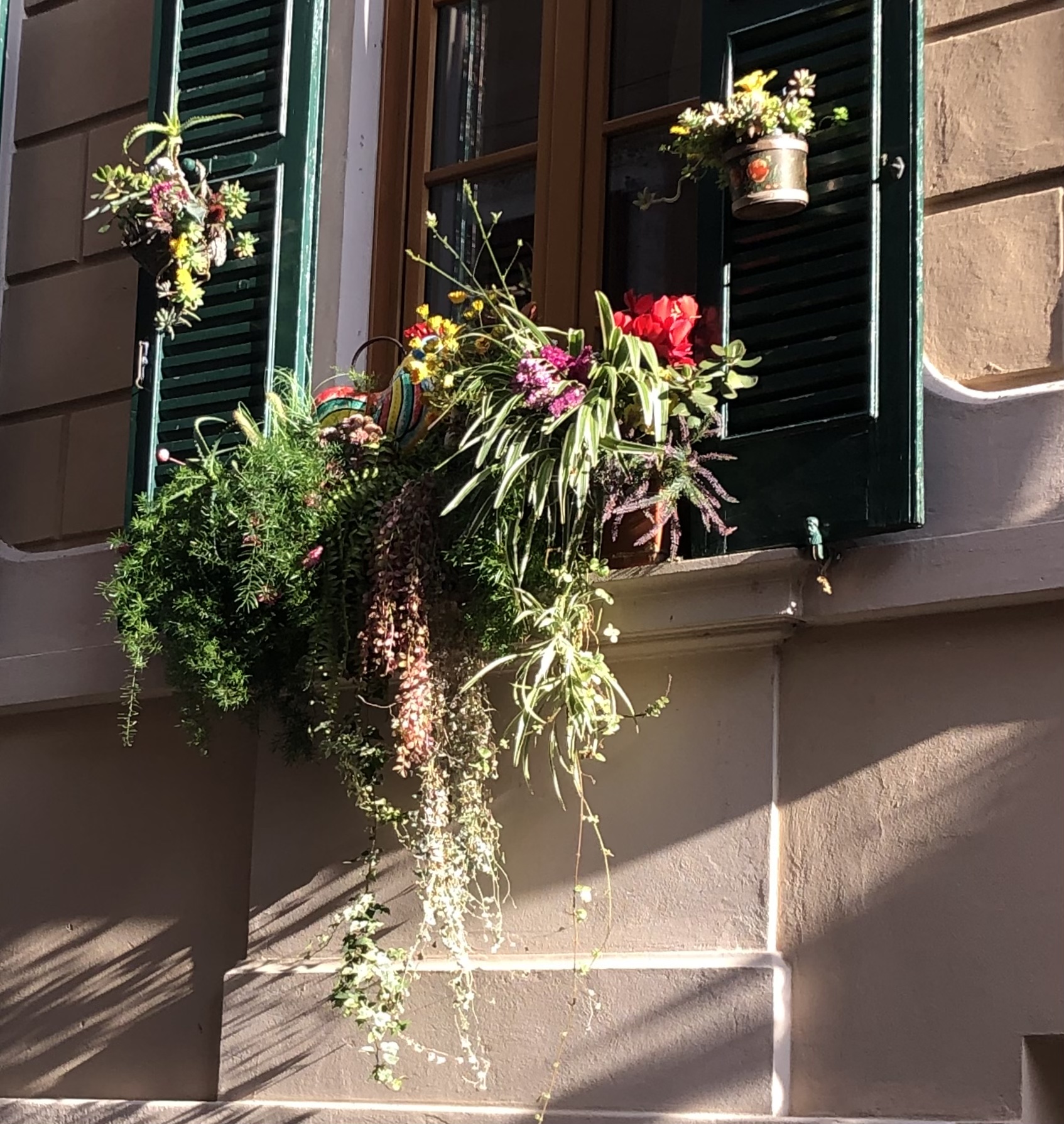 Flora urbana