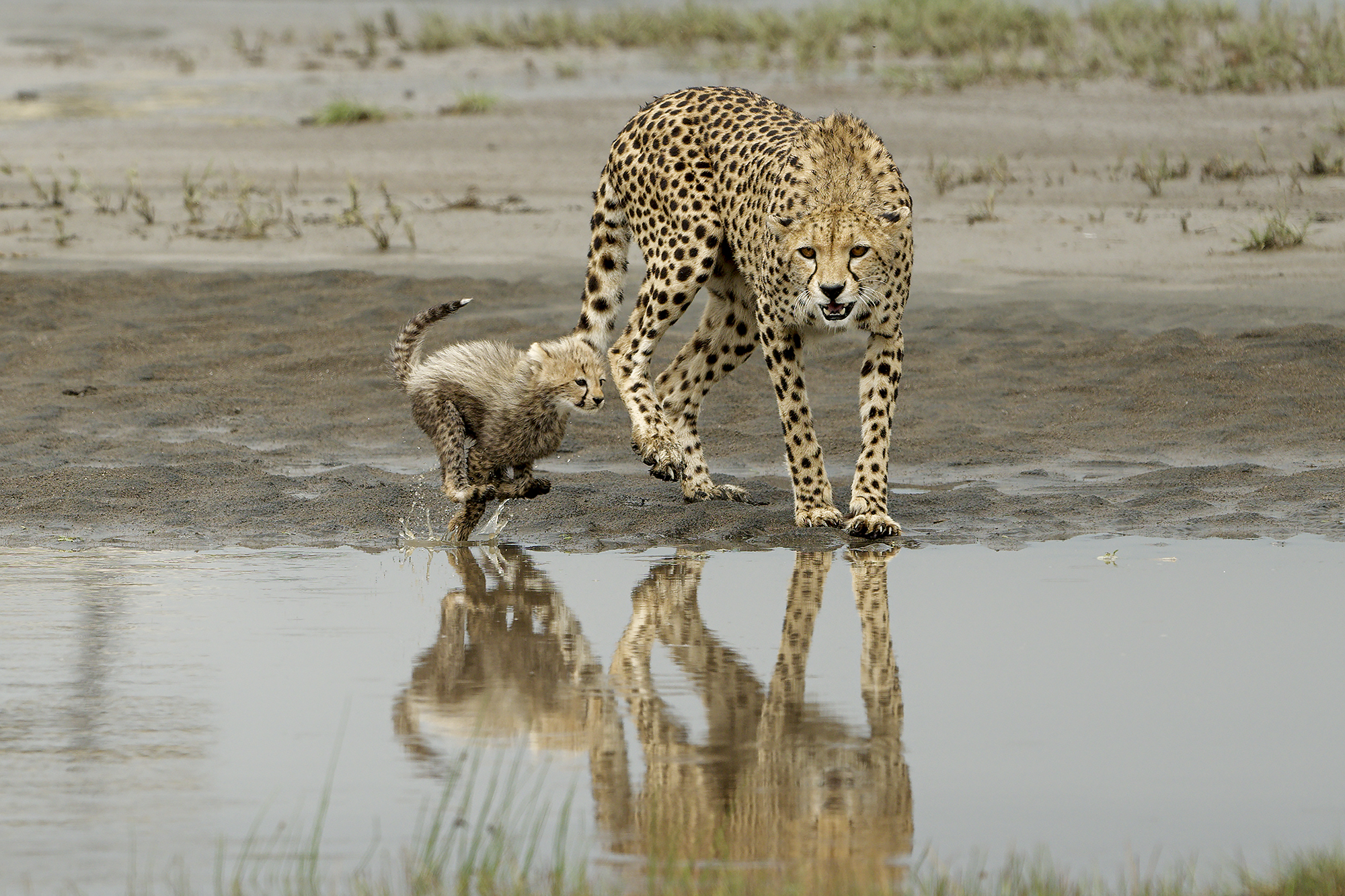 una mamma apprensiva
