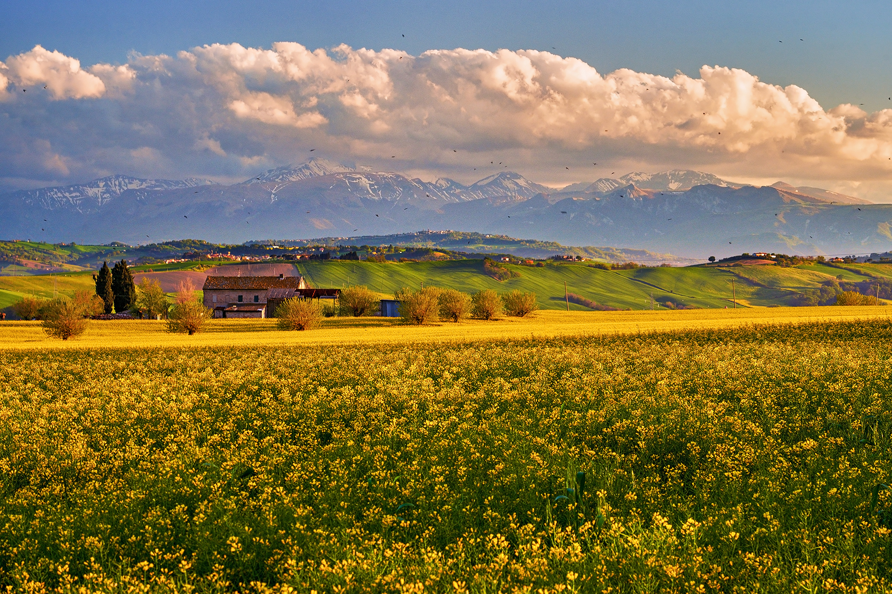 spring in the Marche
