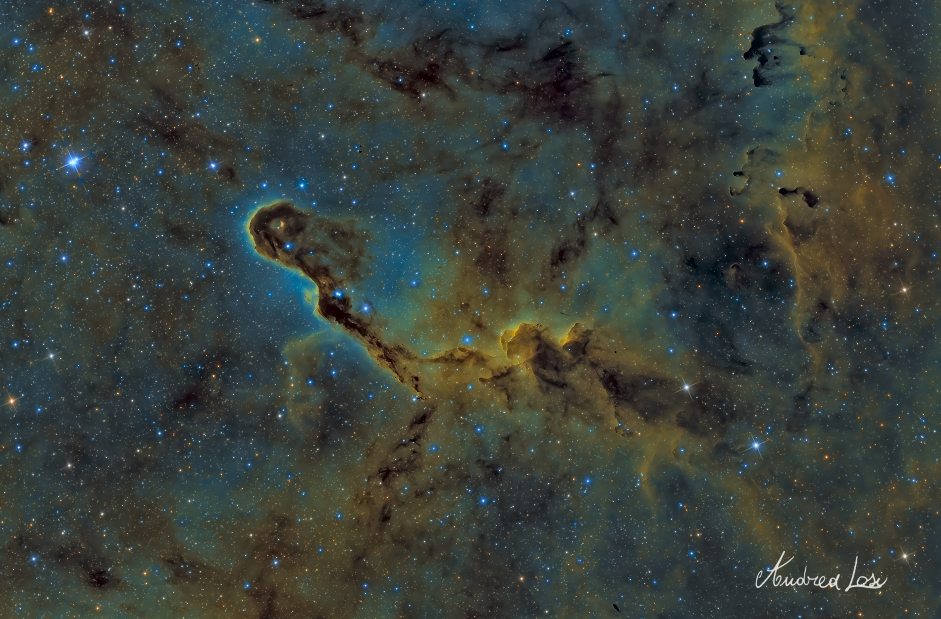 Elephant Proboscis Nebula IC 1396