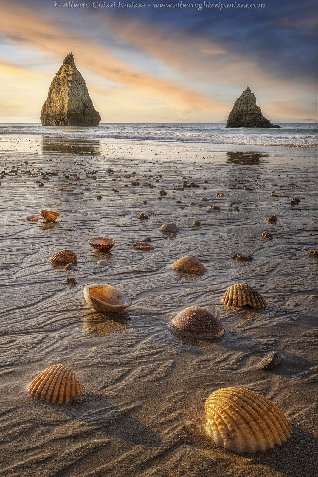 Tra scogli e conchiglie