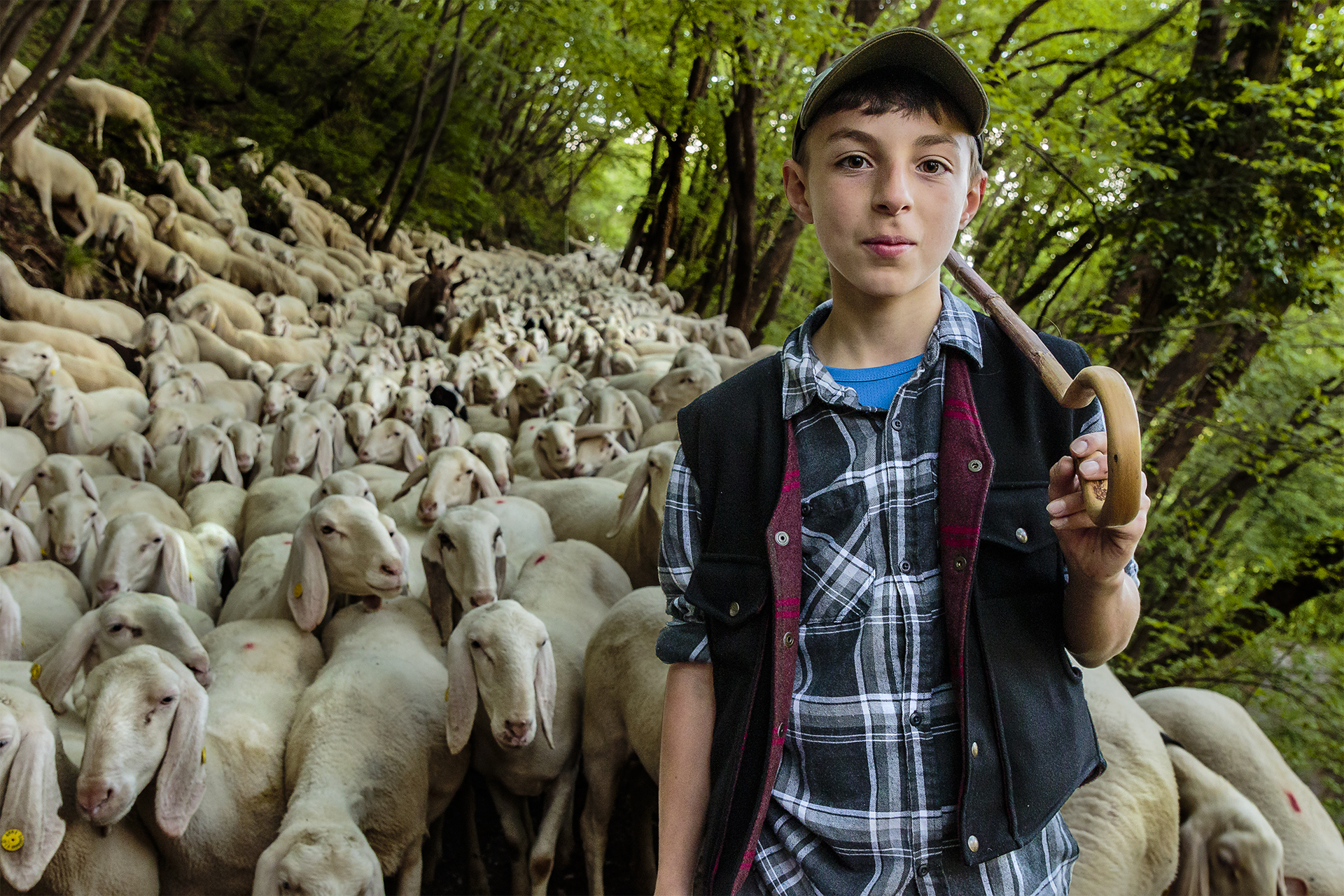 Transumanza, nei boschi della Valsassina 2021