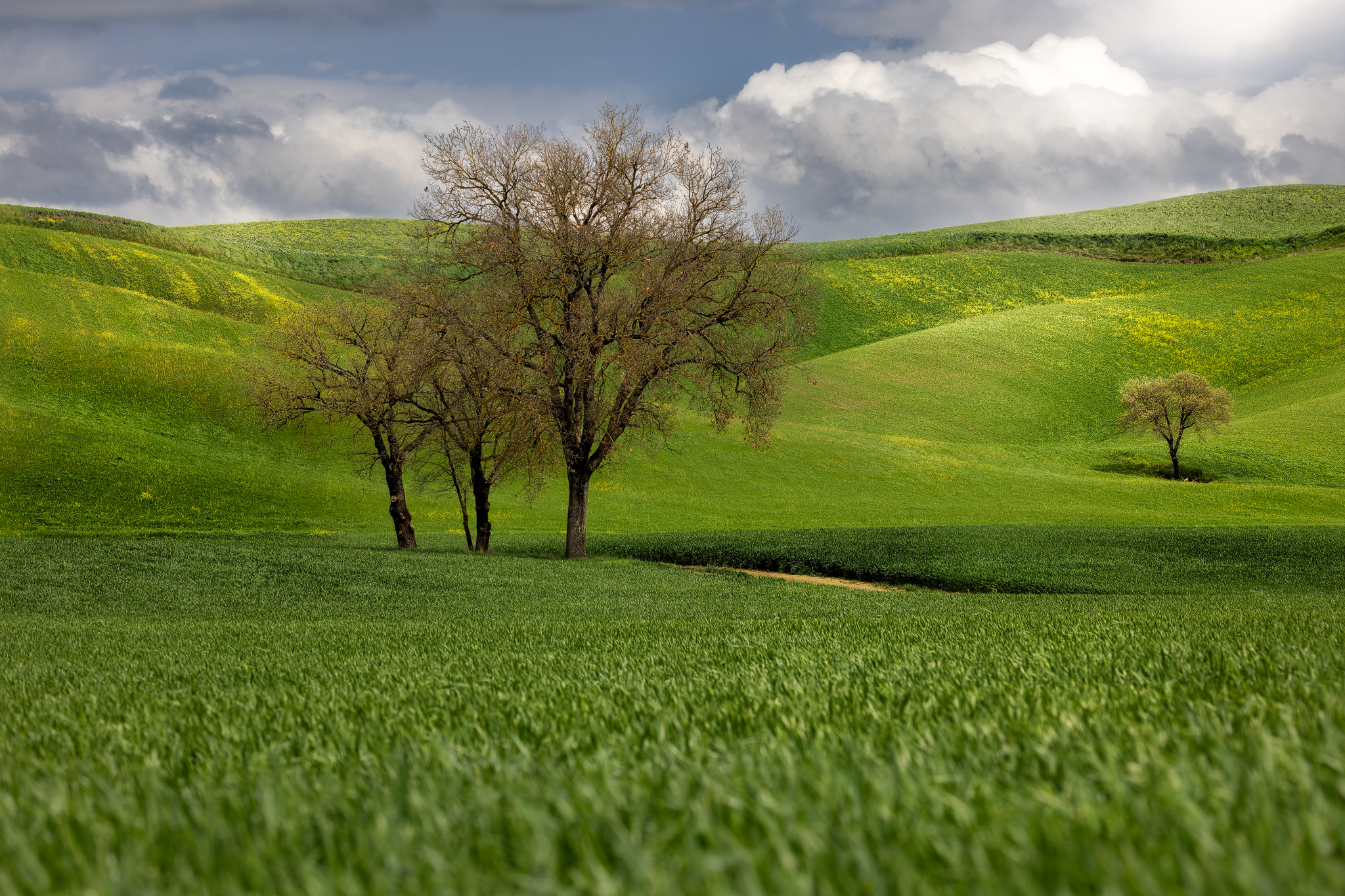 Crete Senesi