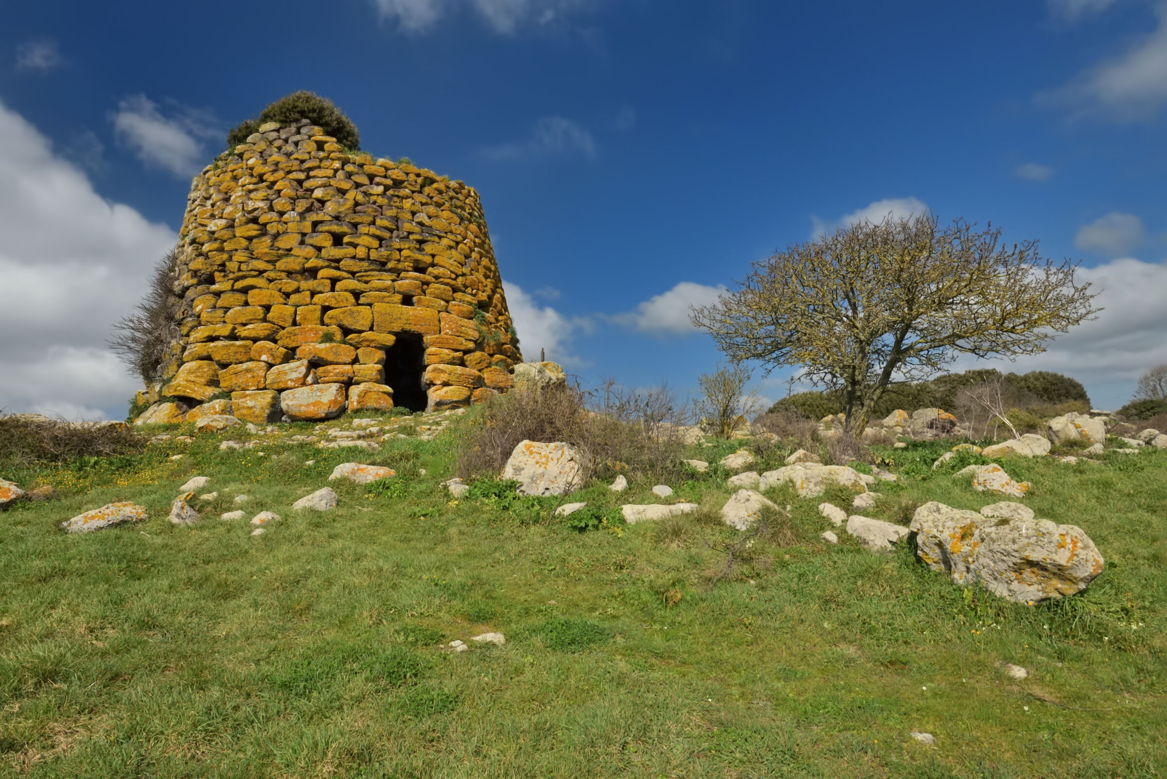 Nuraghe Succoronis - Macomer