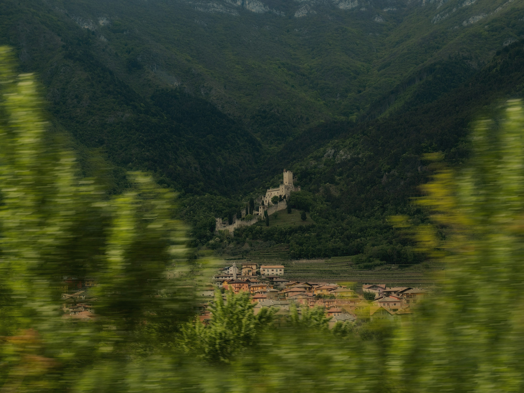 - Long Train Running -