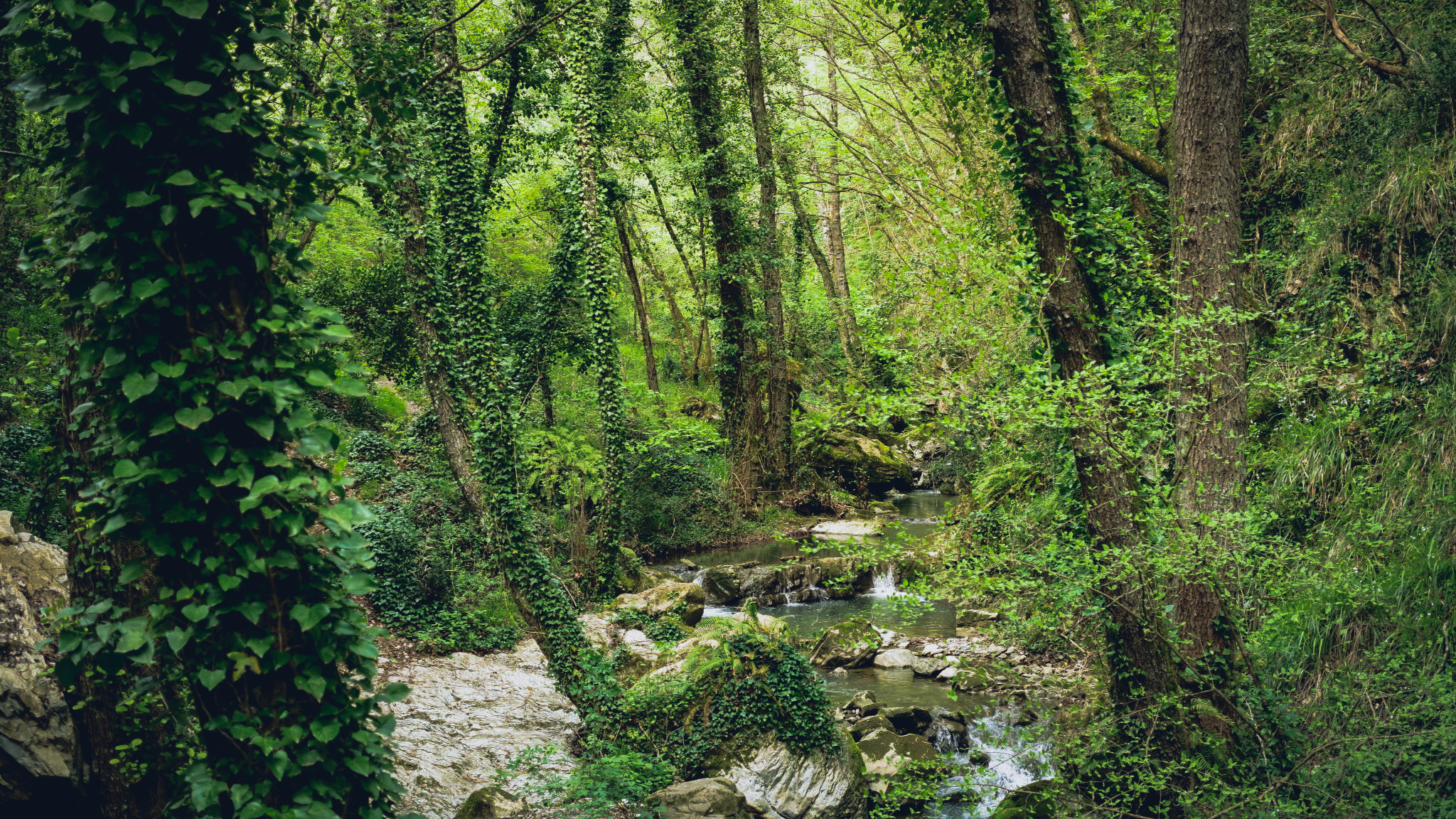 Natura