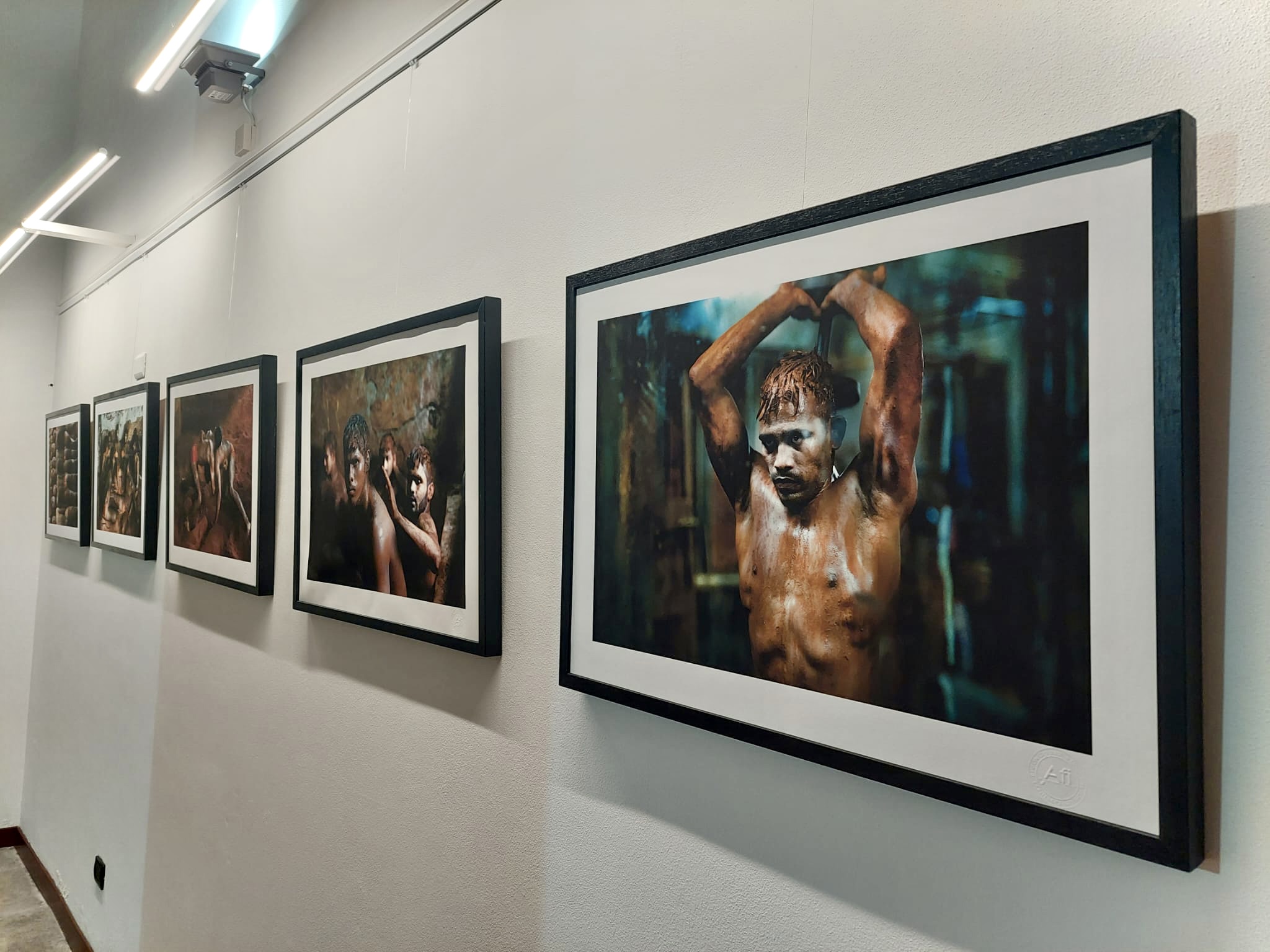 Exhibition in Gallarate