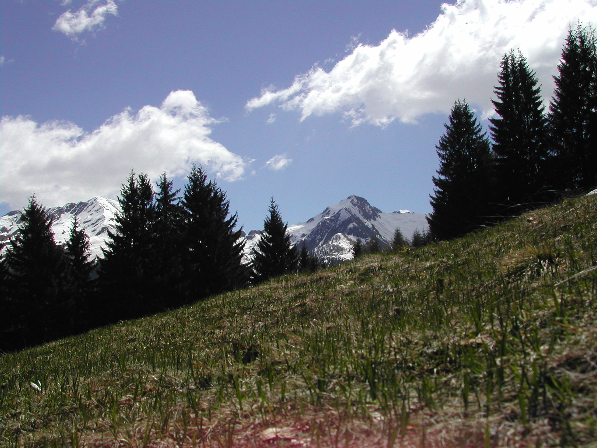 Monte Lago and Monte Pedena (Orobie Valtellinesi)