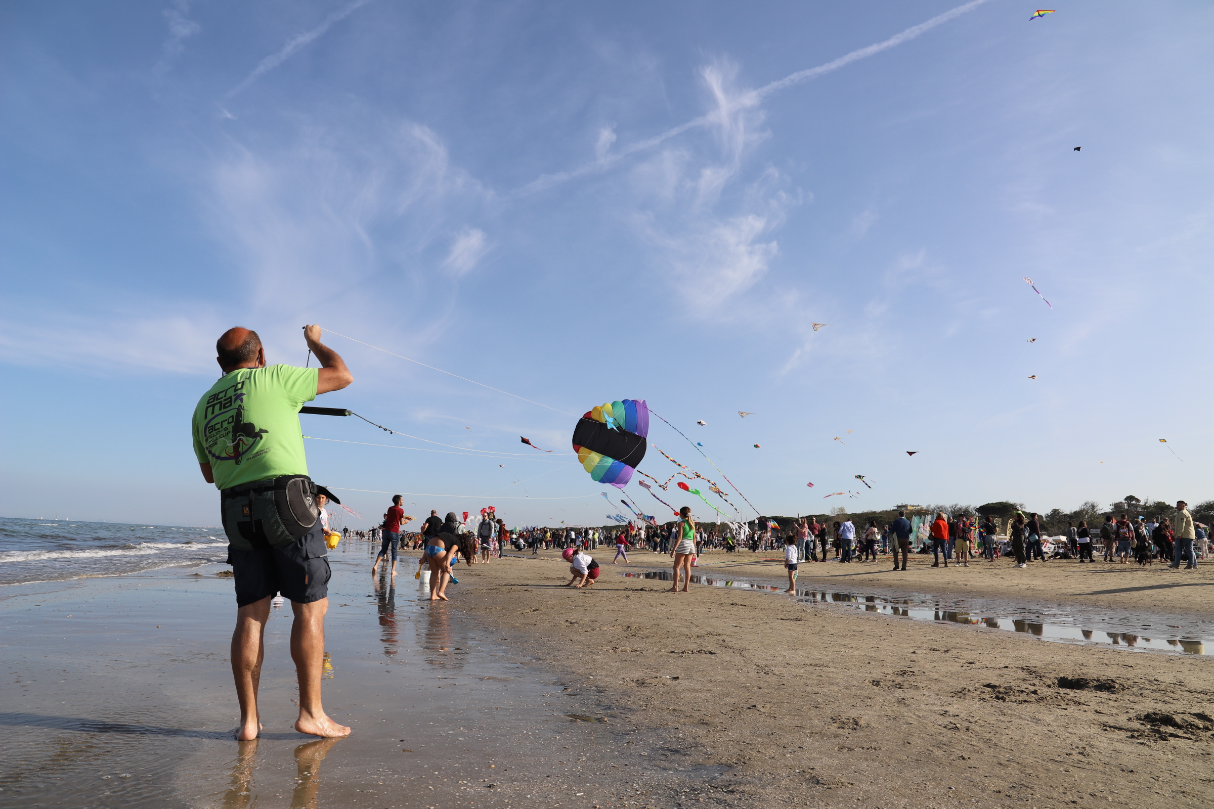 Kites cervia