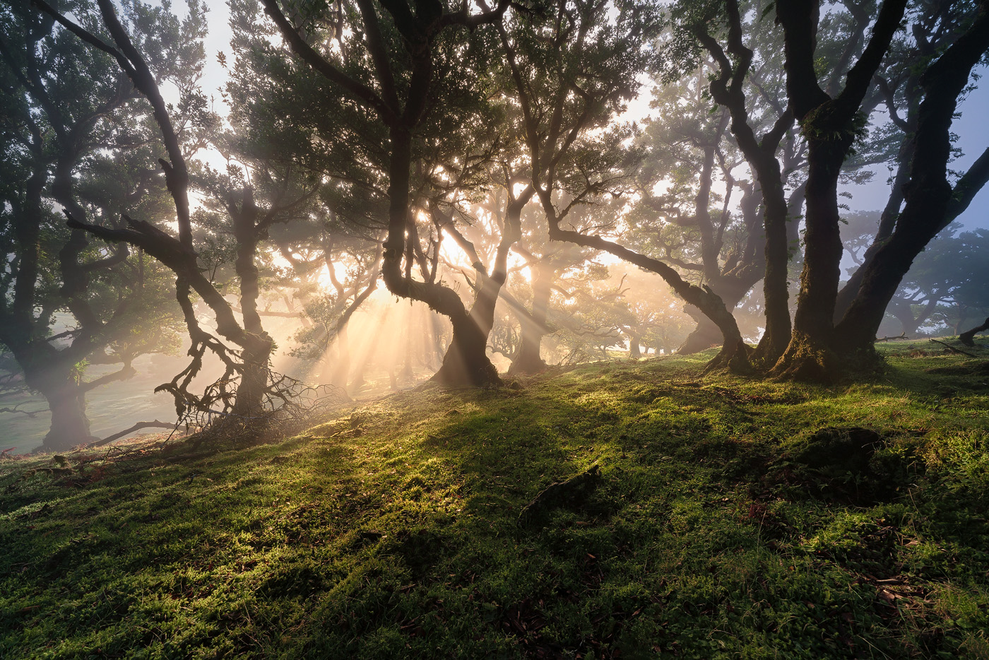 Madeira