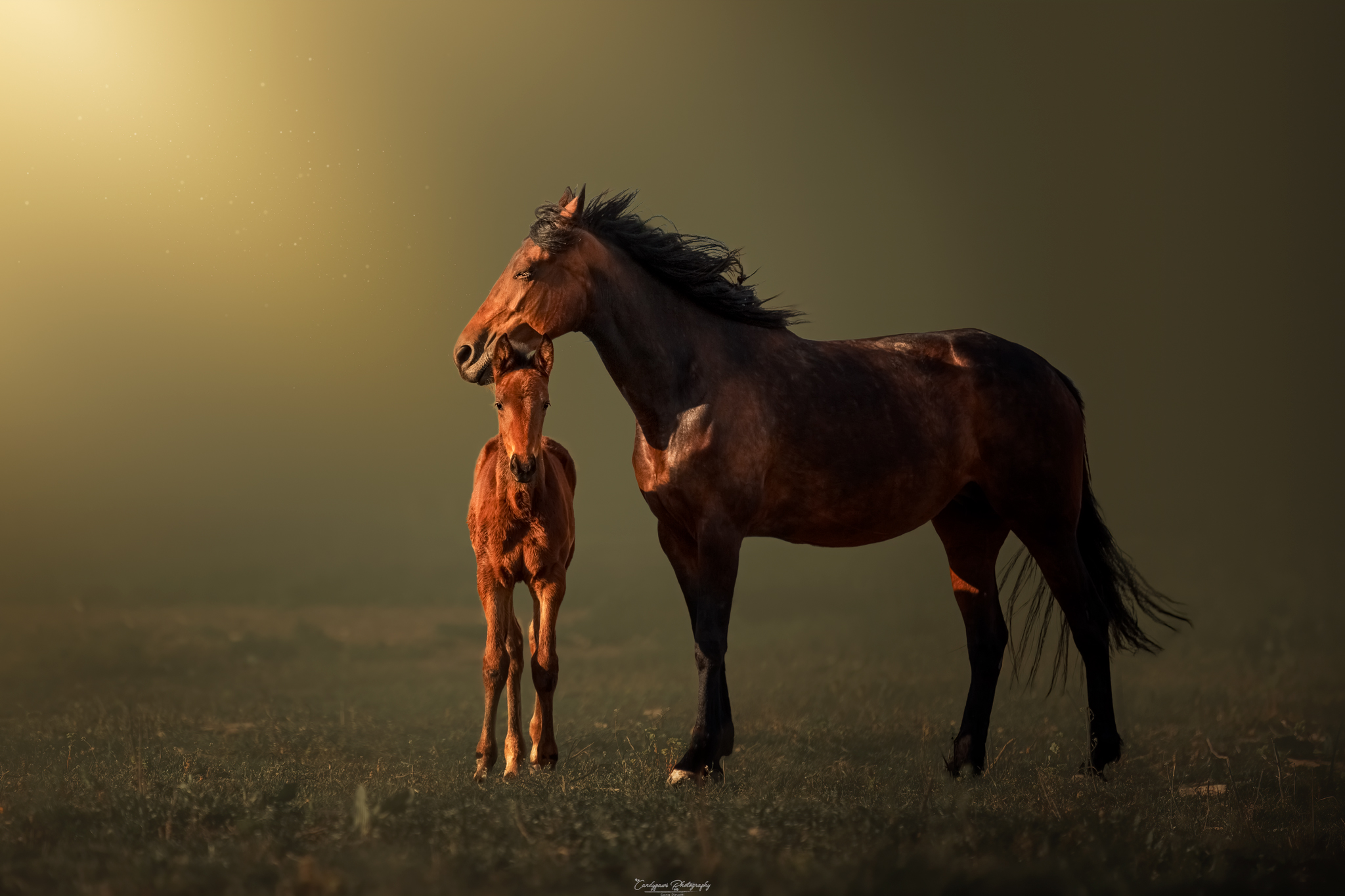 l'amore di una mamma