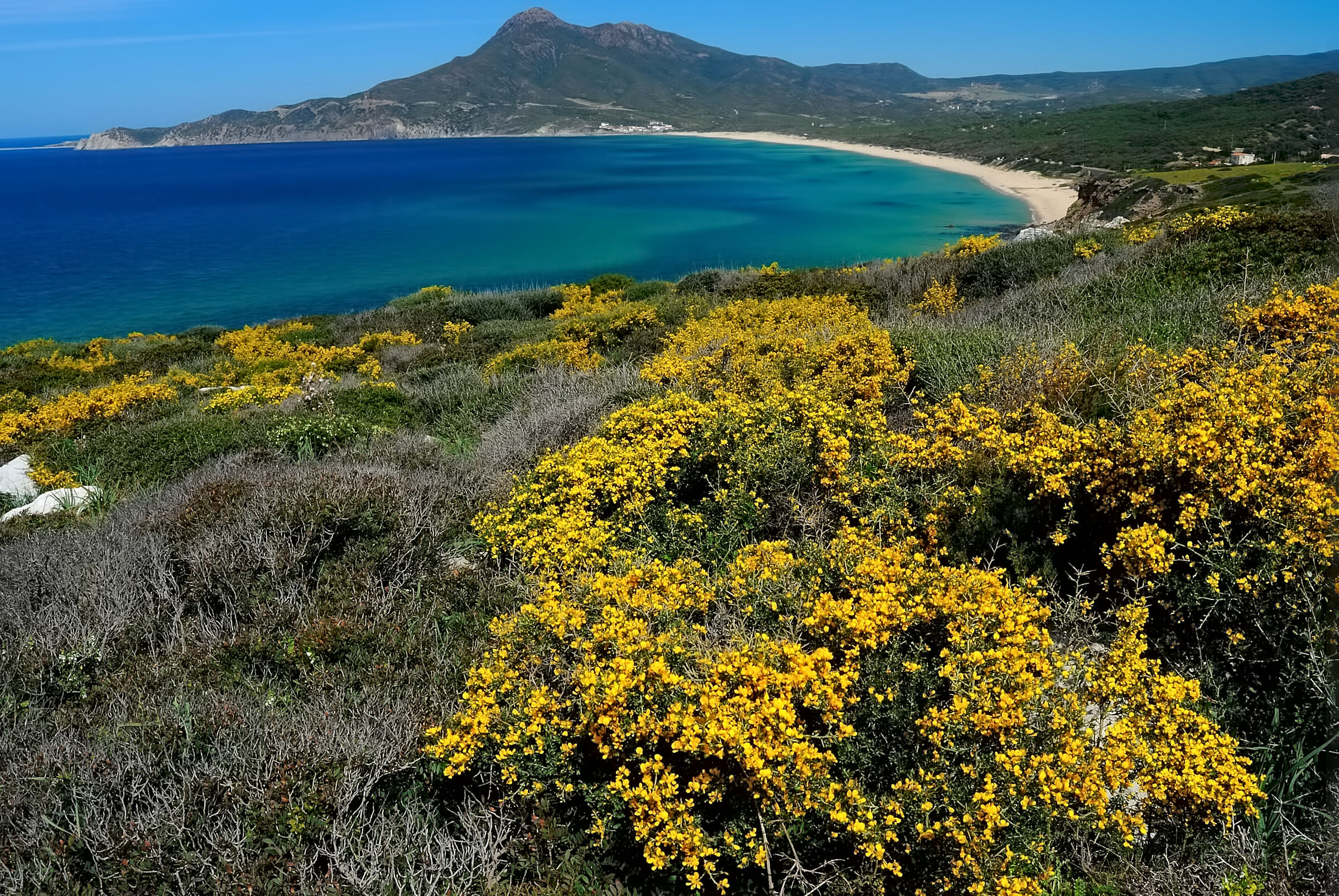 Portixeddu Beach - Buggerru