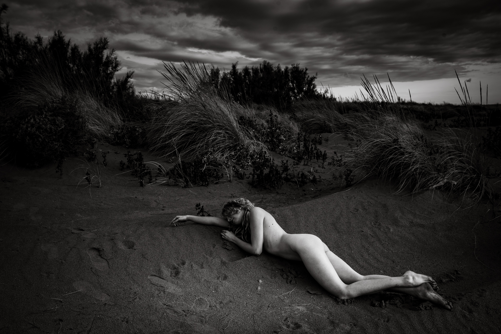 Le forme della bellezza