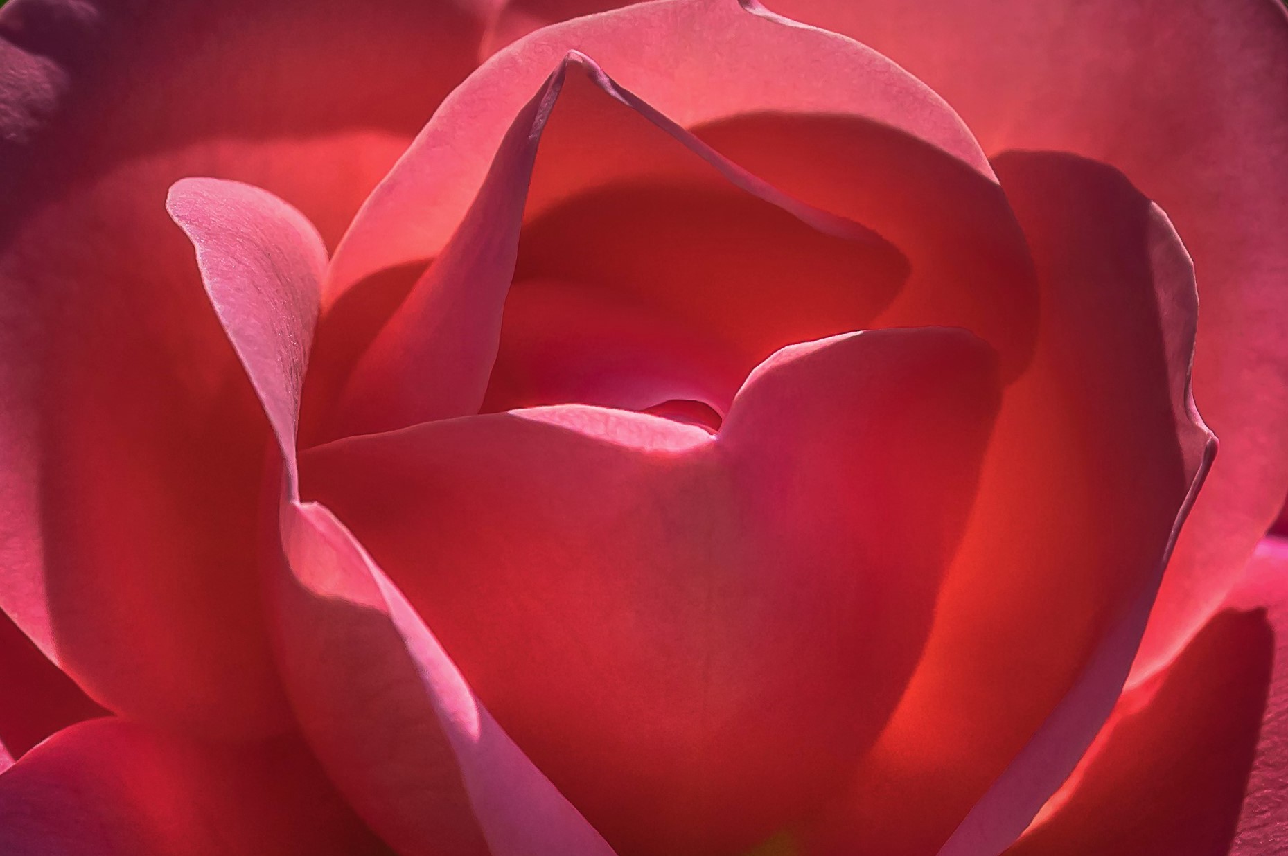 Best wishes to all mothers...
