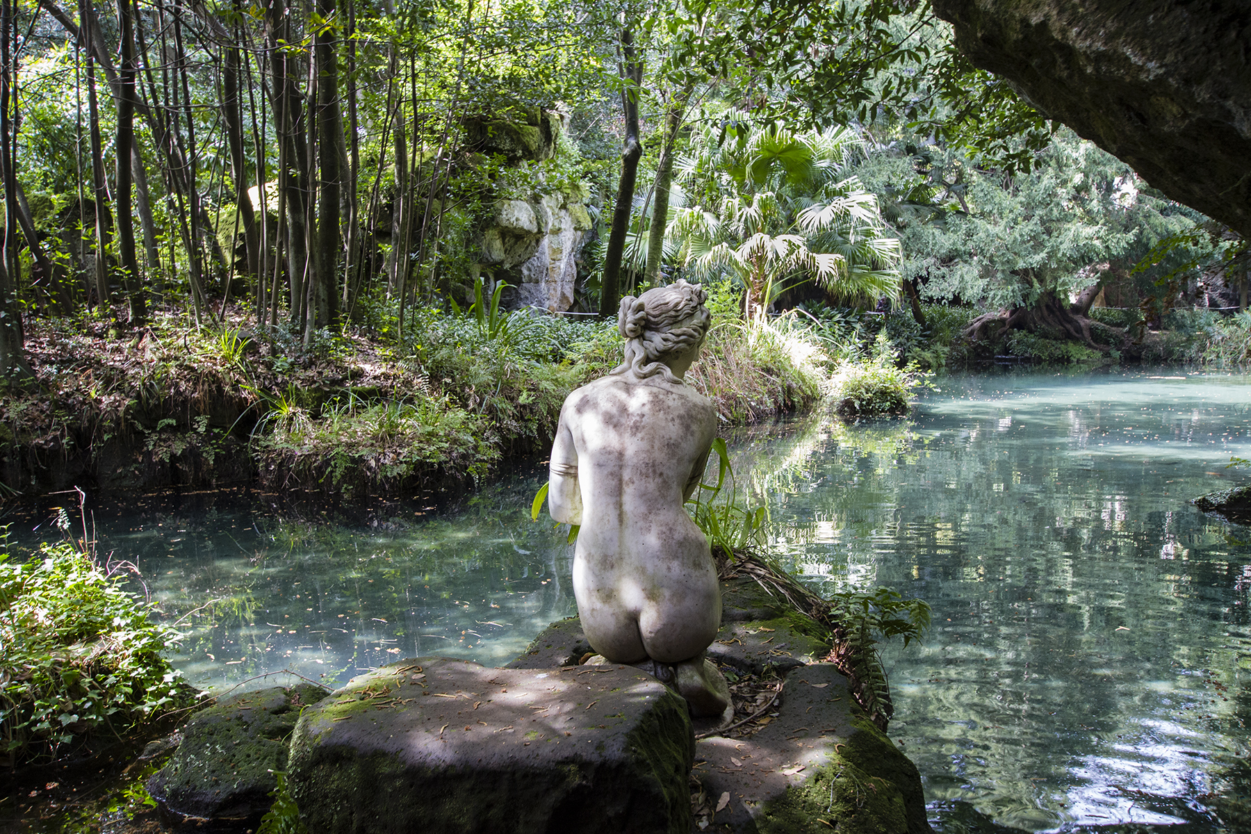 English Garden: the point of view of Venus