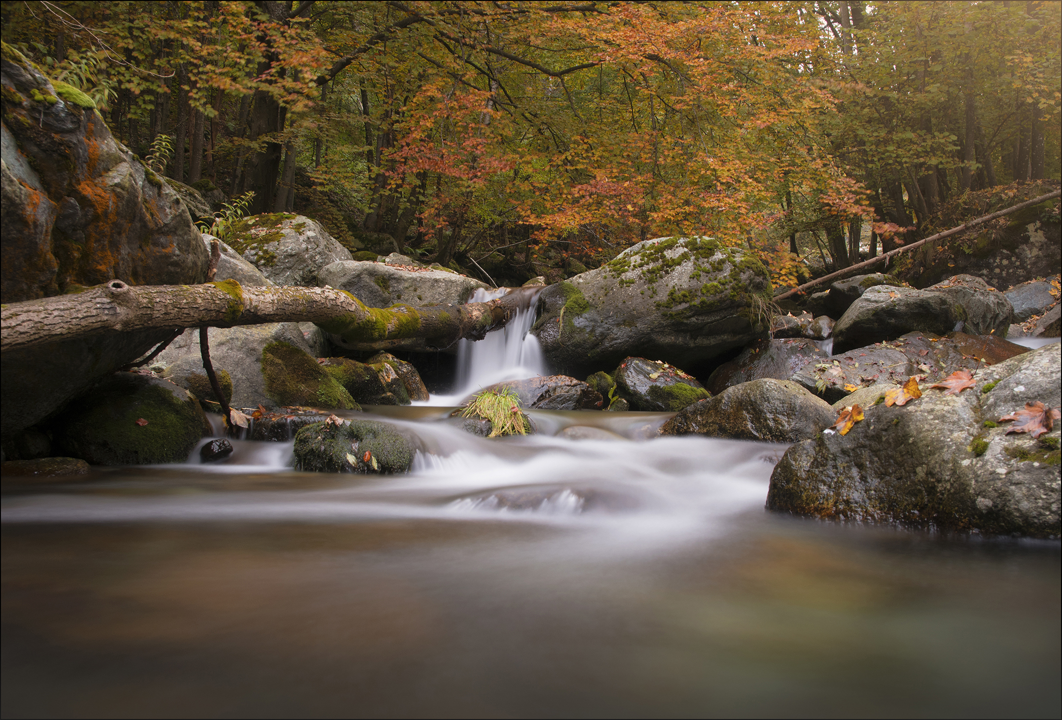 Alle sorgenti del Po
