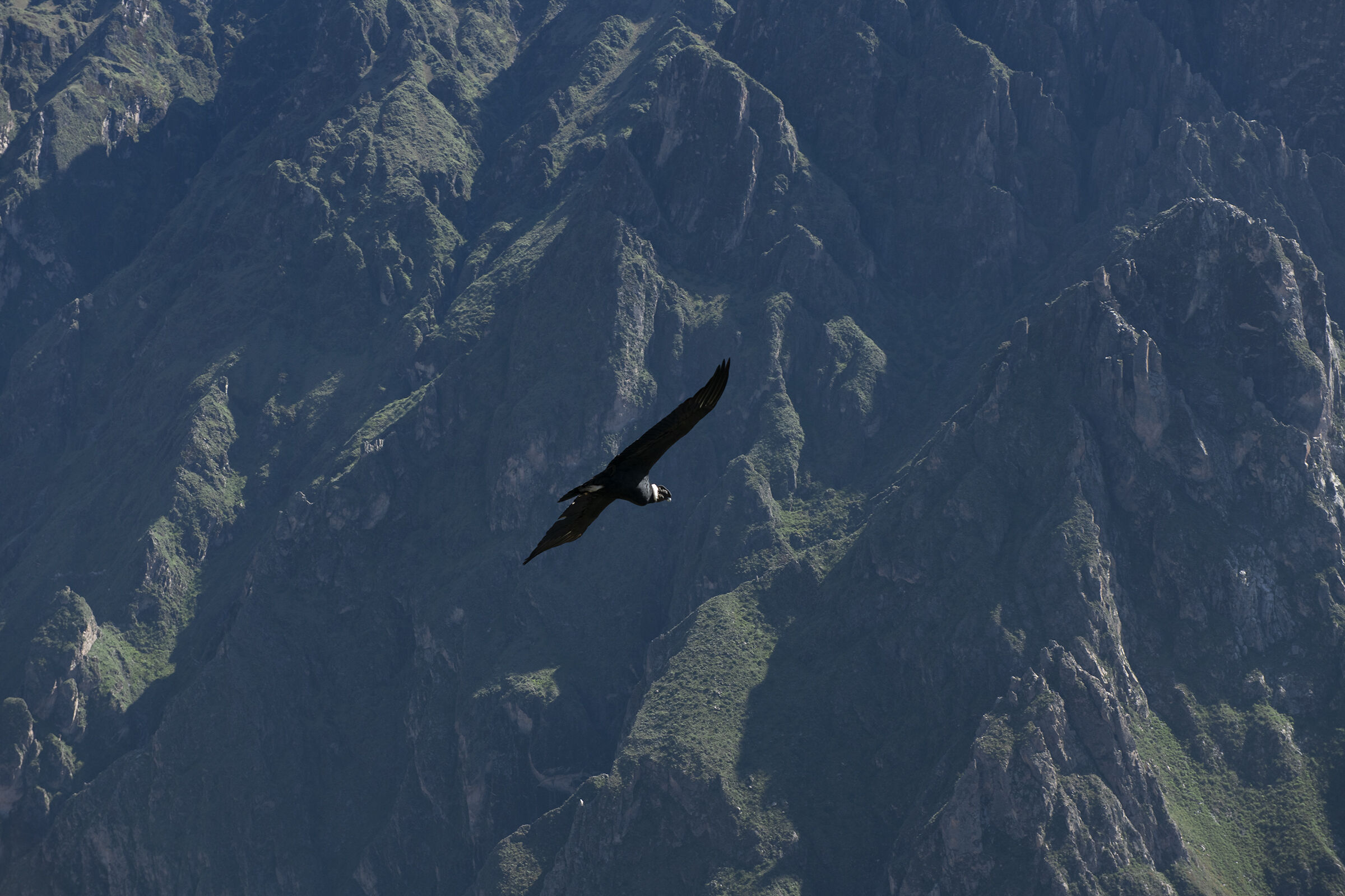 Flight between the Andes