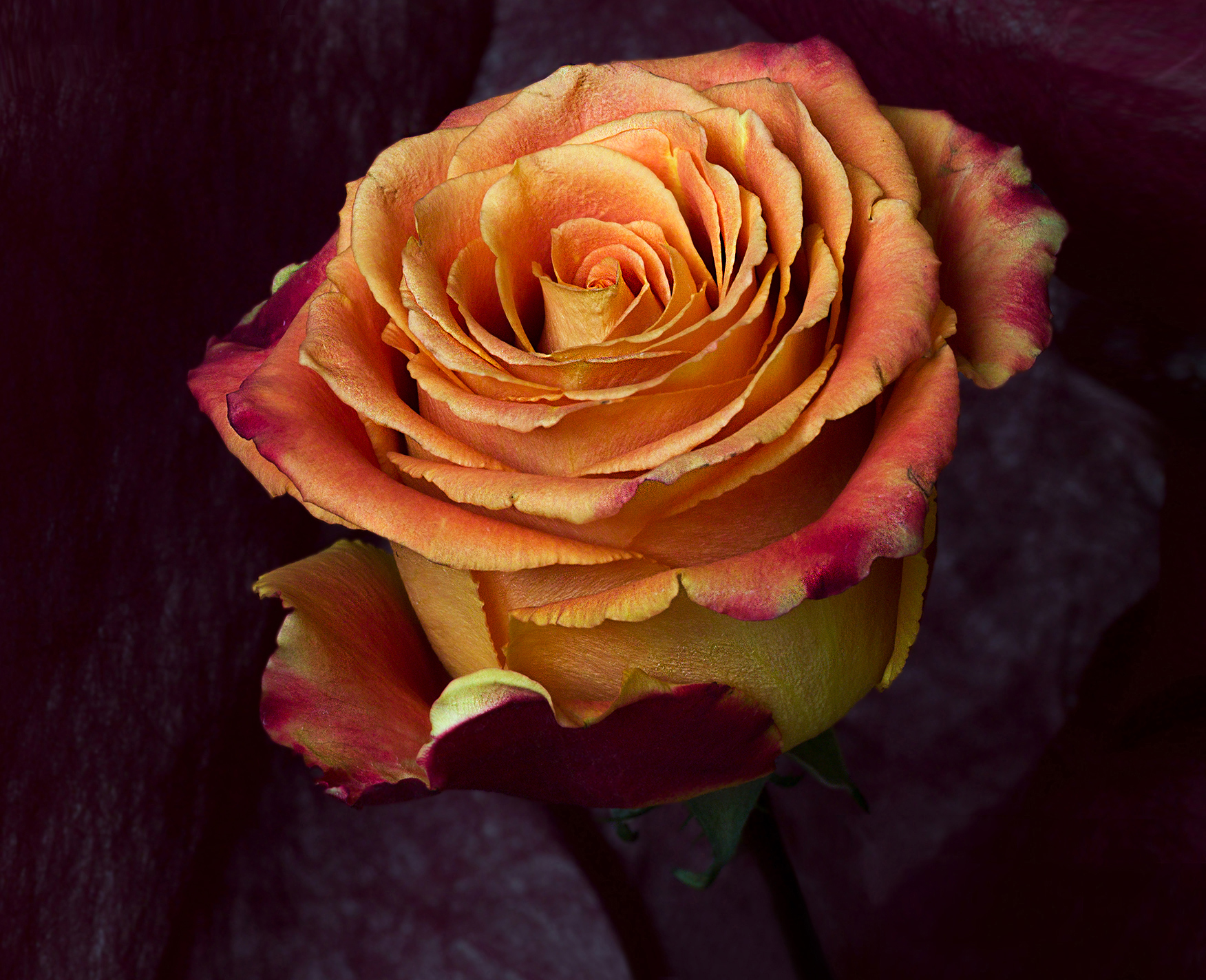 Dedicated to all mothers...